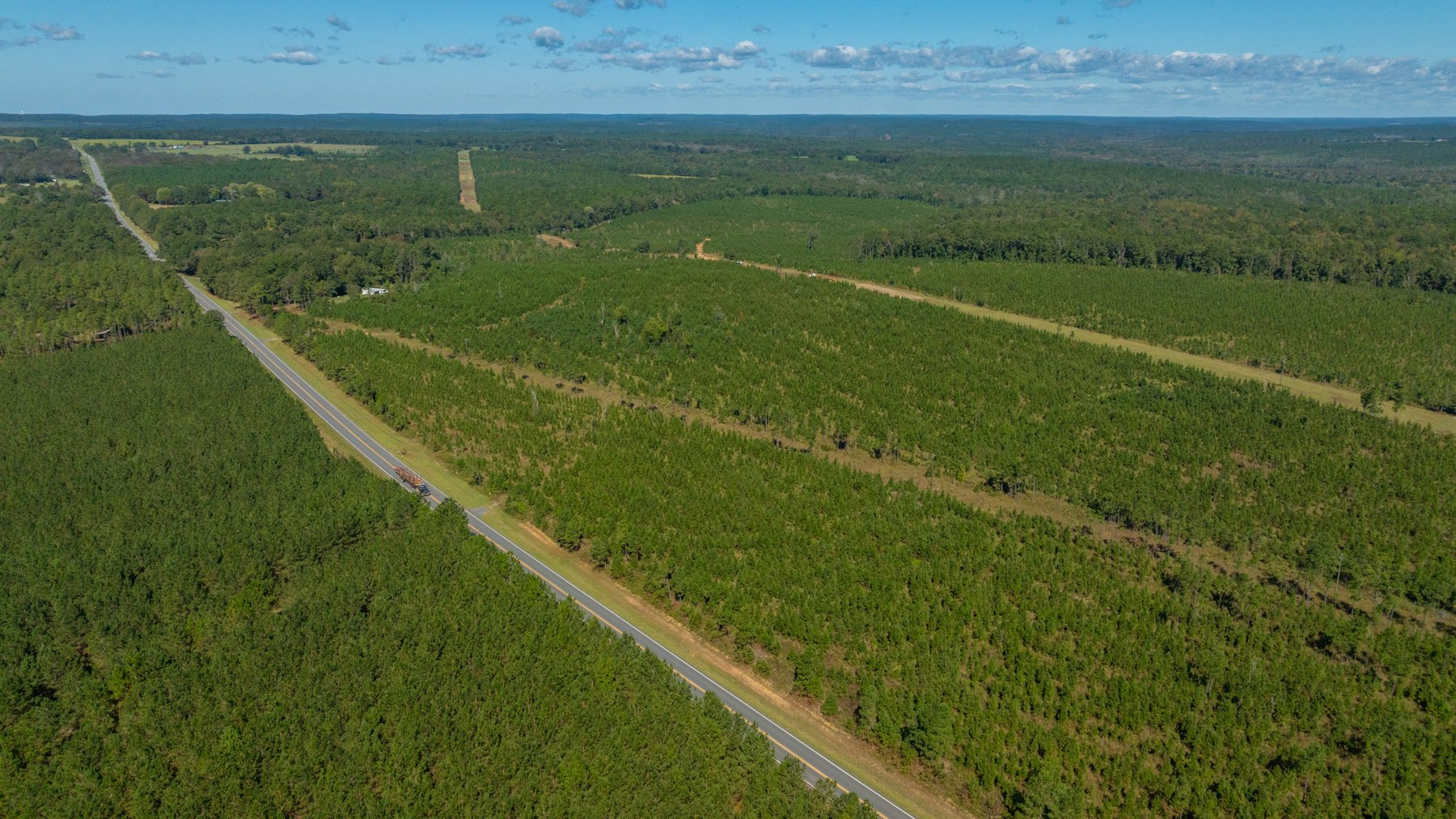 Image for Simpson 154 Land Auction - 154+/- Total Acres - 3 Tracts - Planted Pines & Premium Hunting - Offered Divided & As A Whole