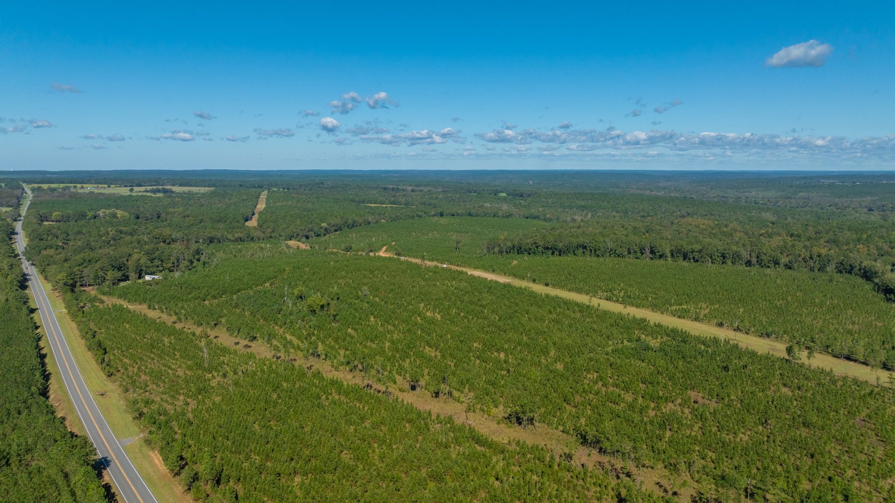 Image for Simpson 154 Land Auction - 154+/- Total Acres - 3 Tracts - Planted Pines & Premium Hunting - Offered Divided & As A Whole