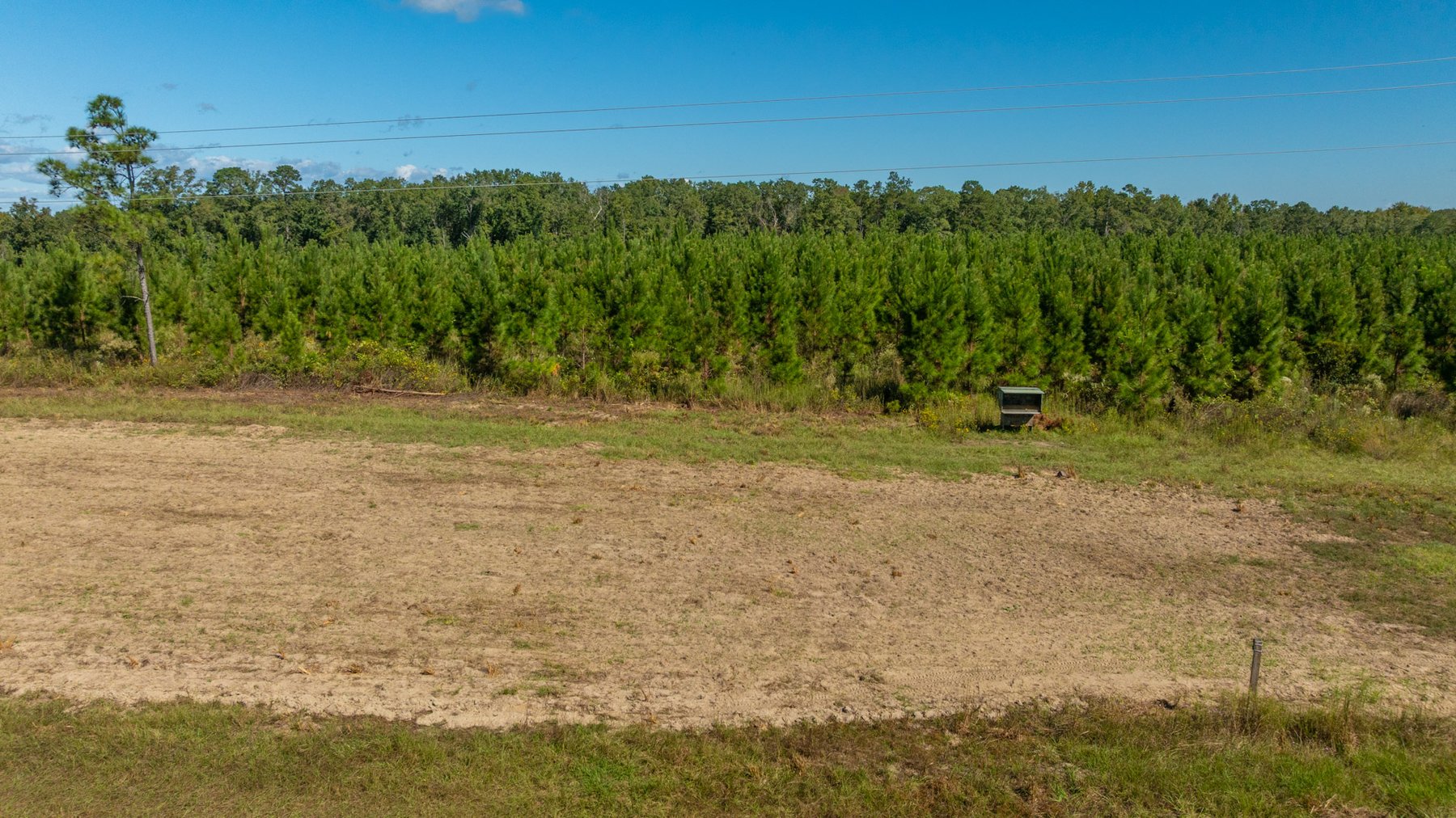 Image for Simpson 154 Land Auction - 154+/- Total Acres - 3 Tracts - Planted Pines & Premium Hunting - Offered Divided & As A Whole