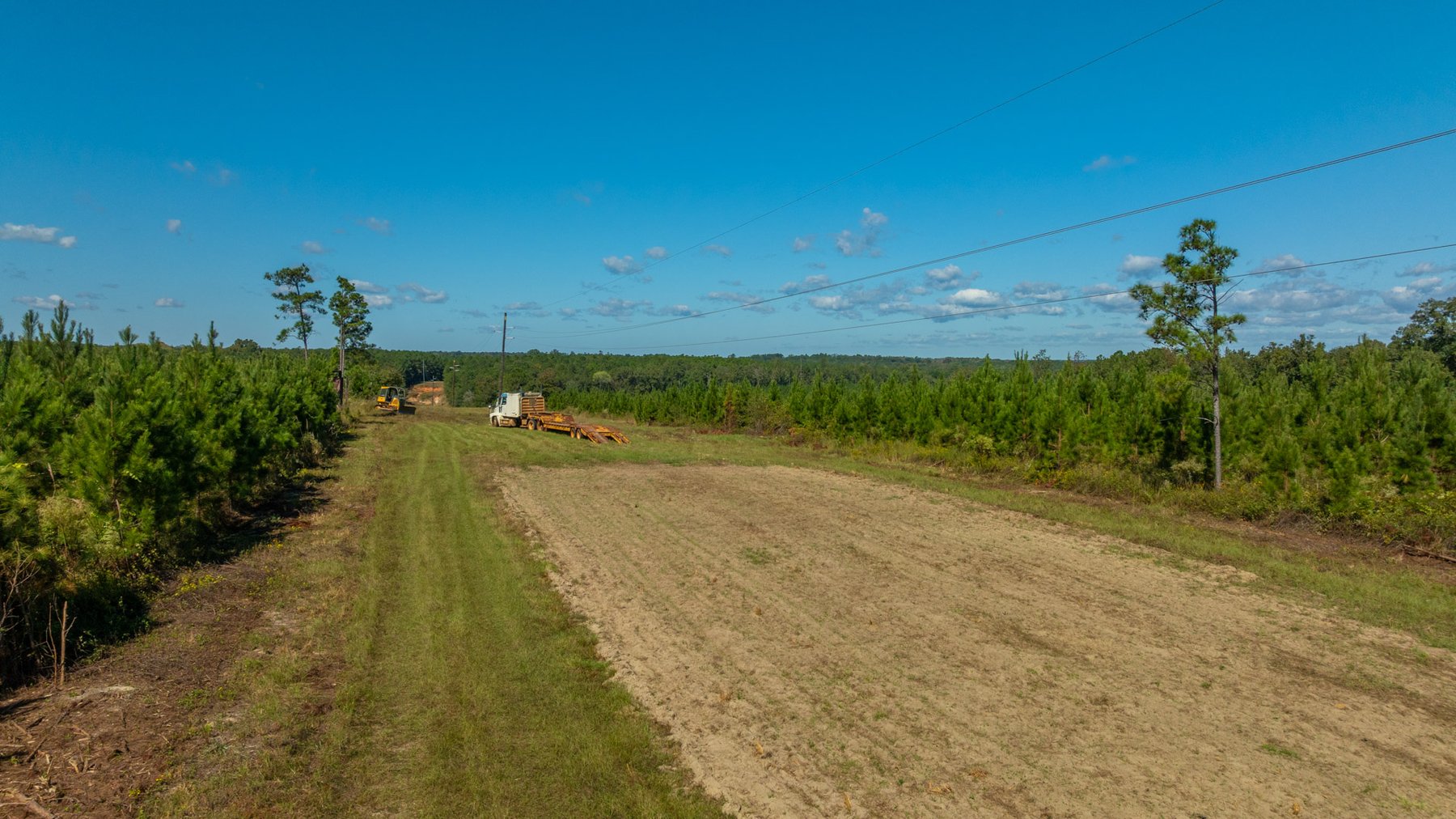 Image for Simpson 154 Land Auction - 154+/- Total Acres - 3 Tracts - Planted Pines & Premium Hunting - Offered Divided & As A Whole