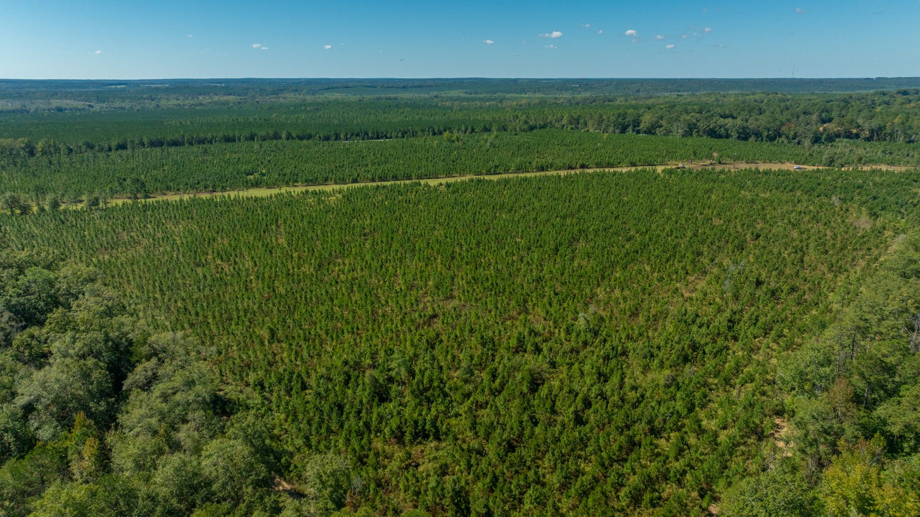 Image for Simpson 154 Land Auction - 154+/- Total Acres - 3 Tracts - Planted Pines & Premium Hunting - Offered Divided & As A Whole