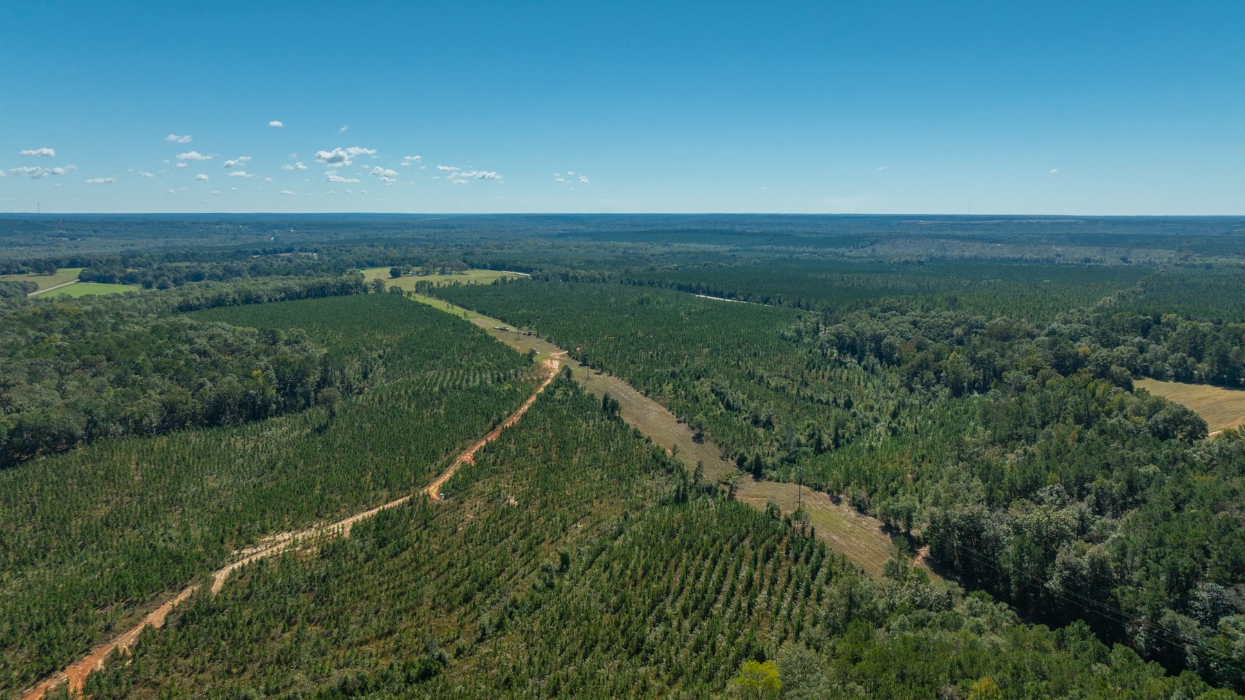 Image for Simpson 154 Land Auction - 154+/- Total Acres - 3 Tracts - Planted Pines & Premium Hunting - Offered Divided & As A Whole