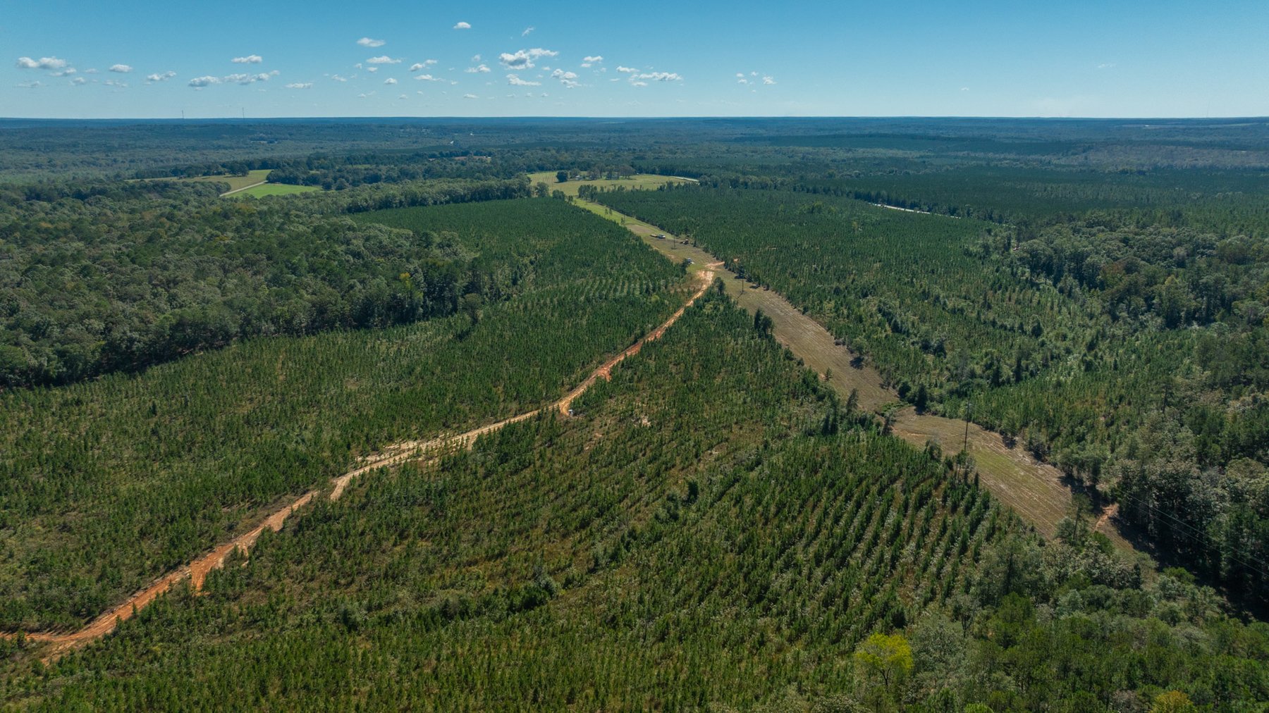 Image for Simpson 154 Land Auction - 154+/- Total Acres - 3 Tracts - Planted Pines & Premium Hunting - Offered Divided & As A Whole
