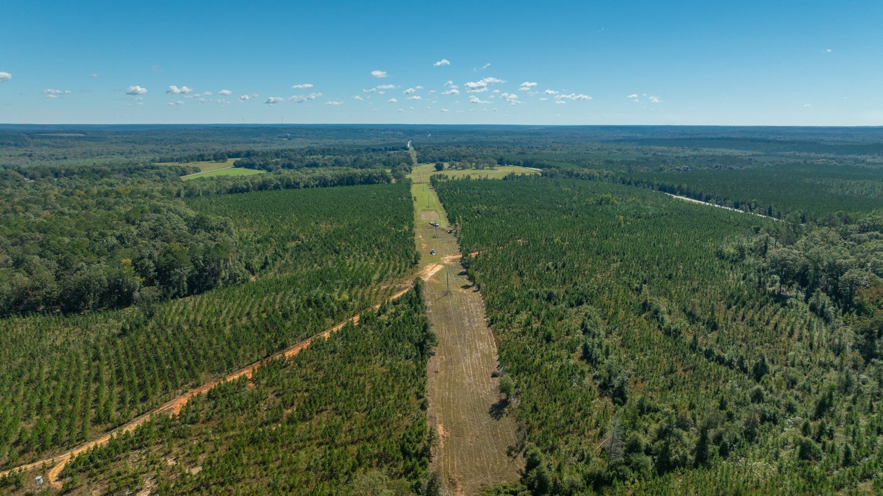 Image for Simpson 154 Land Auction - 154+/- Total Acres - 3 Tracts - Planted Pines & Premium Hunting - Offered Divided & As A Whole