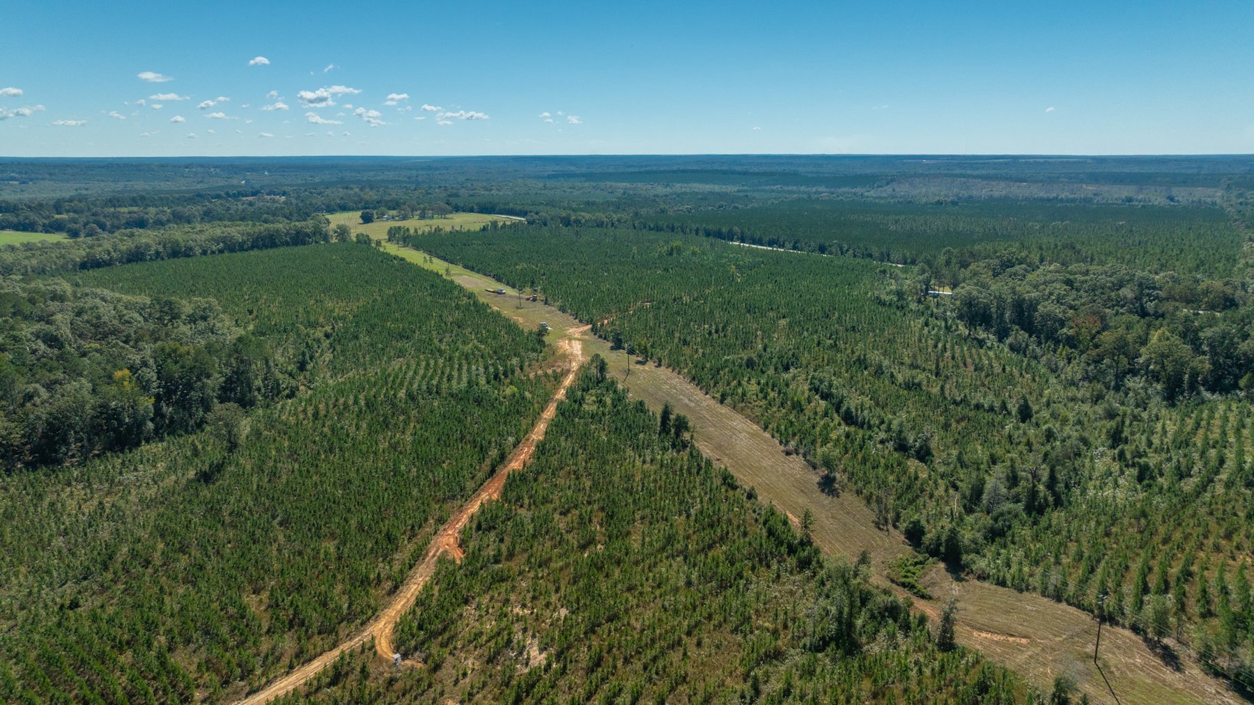 Image for Simpson 154 Land Auction - 154+/- Total Acres - 3 Tracts - Planted Pines & Premium Hunting - Offered Divided & As A Whole