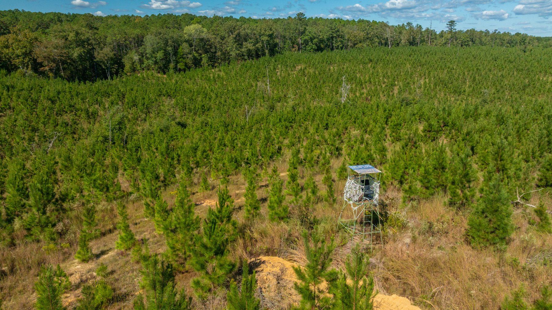 Image for Simpson 154 Land Auction - 154+/- Total Acres - 3 Tracts - Planted Pines & Premium Hunting - Offered Divided & As A Whole