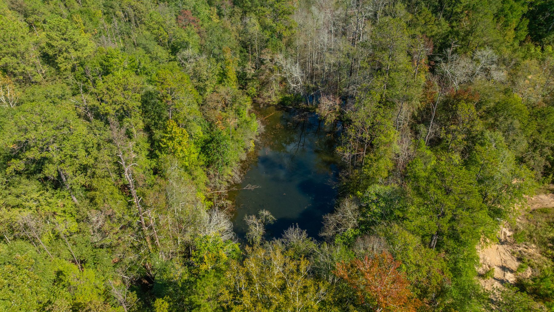 Image for Simpson 154 Land Auction - 154+/- Total Acres - 3 Tracts - Planted Pines & Premium Hunting - Offered Divided & As A Whole