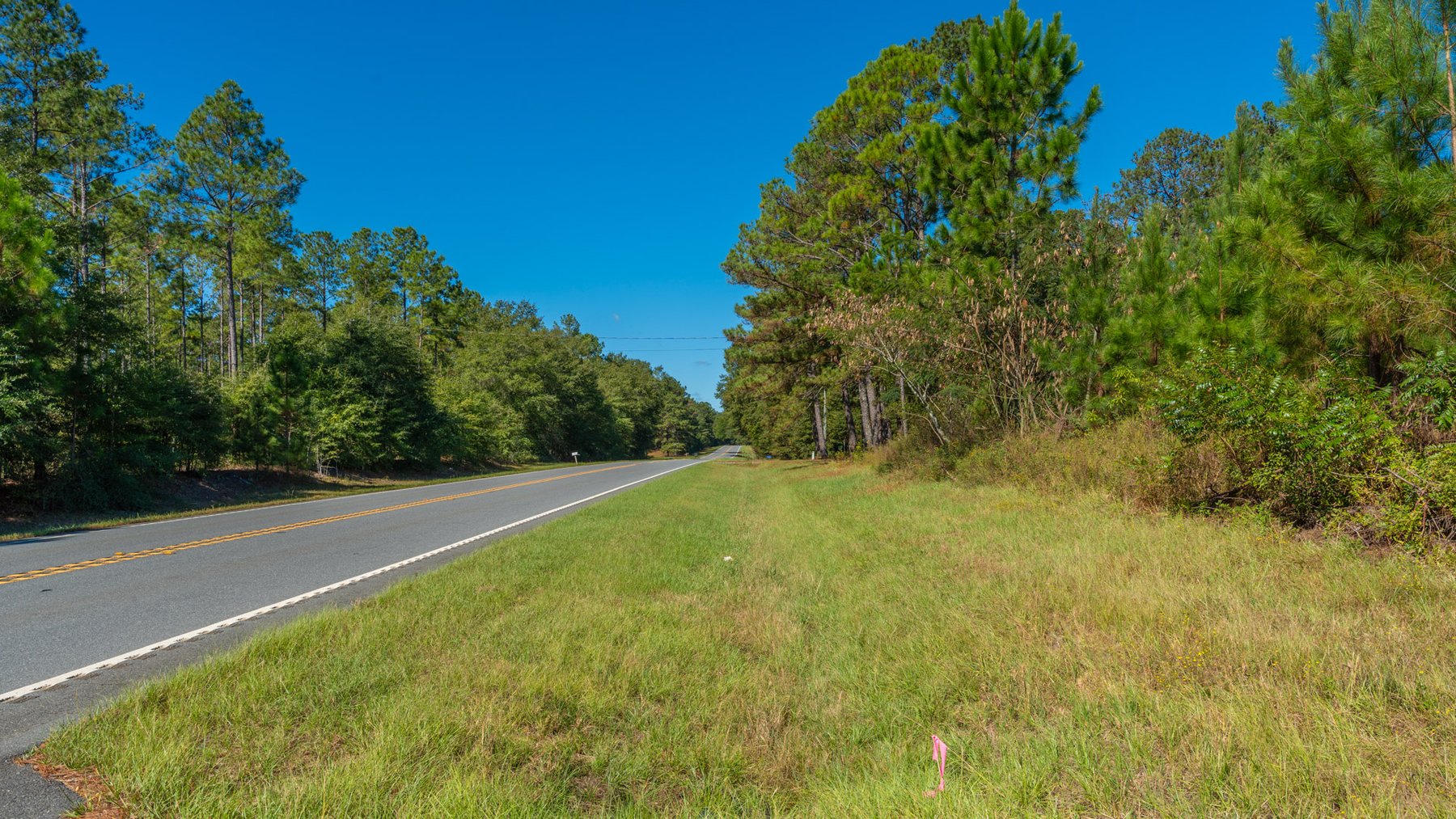 Image for Simpson 154 Land Auction - 154+/- Total Acres - 3 Tracts - Planted Pines & Premium Hunting - Offered Divided & As A Whole