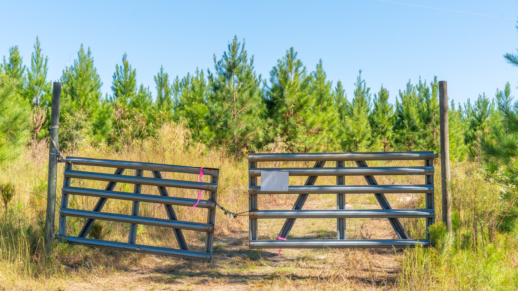 Image for Simpson 154 Land Auction - 154+/- Total Acres - 3 Tracts - Planted Pines & Premium Hunting - Offered Divided & As A Whole