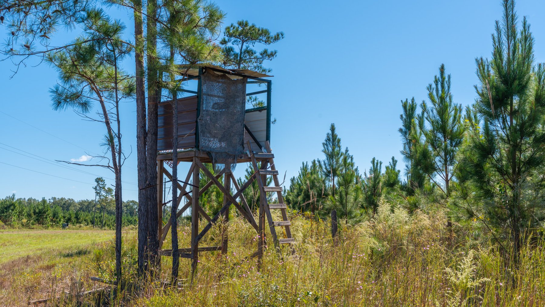 Image for Simpson 154 Land Auction - 154+/- Total Acres - 3 Tracts - Planted Pines & Premium Hunting - Offered Divided & As A Whole