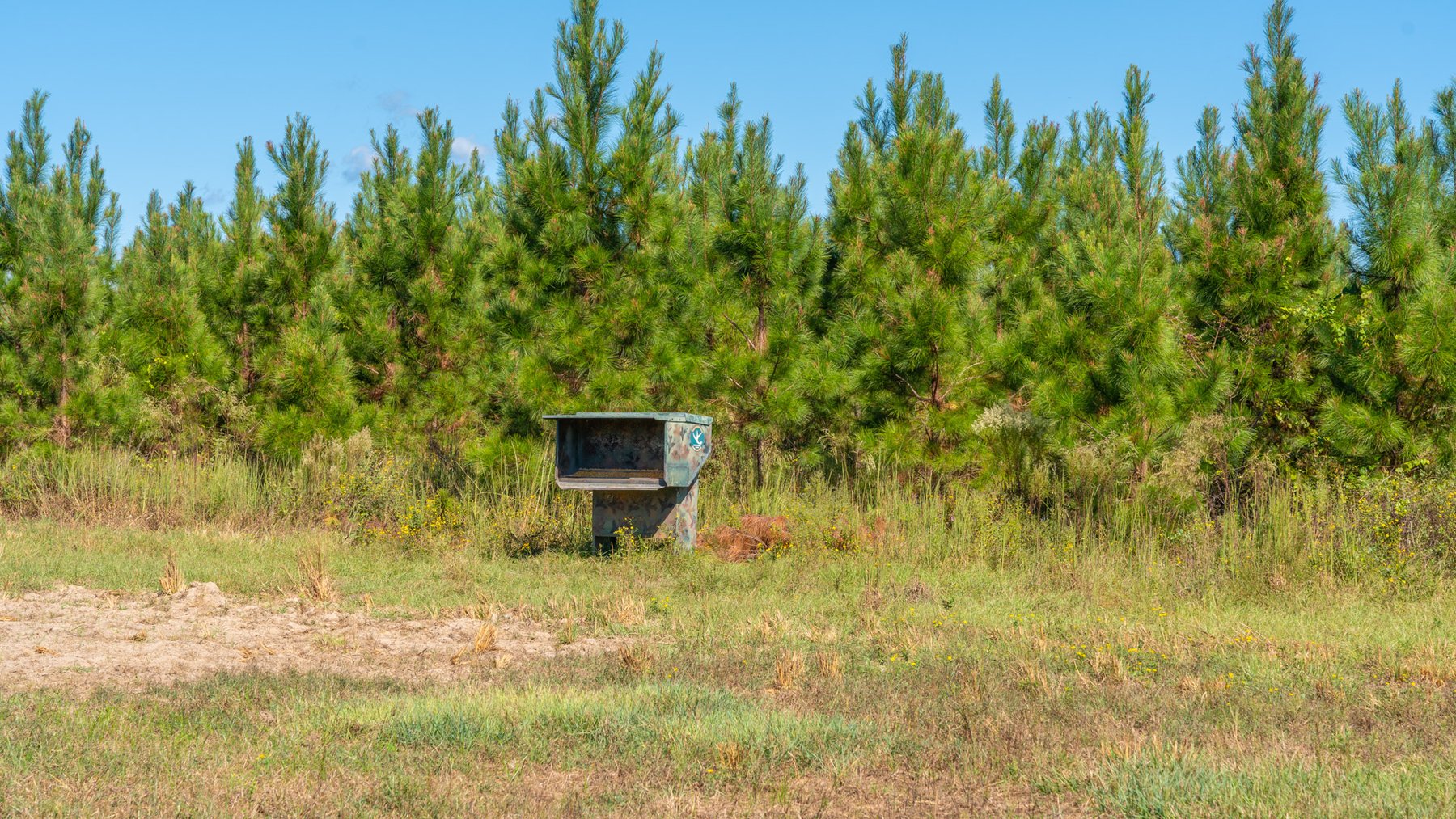 Image for Simpson 154 Land Auction - 154+/- Total Acres - 3 Tracts - Planted Pines & Premium Hunting - Offered Divided & As A Whole