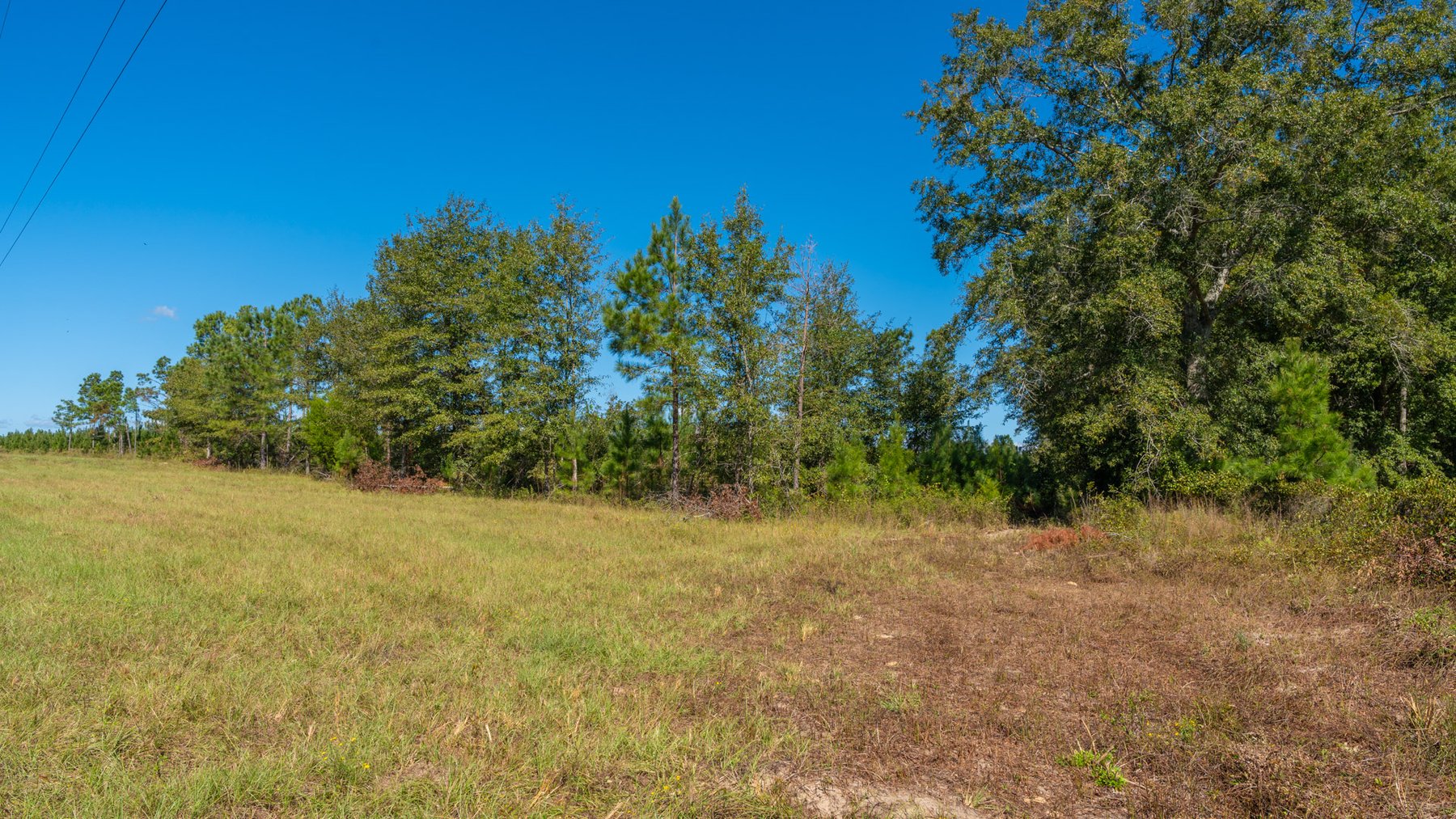 Image for Simpson 154 Land Auction - 154+/- Total Acres - 3 Tracts - Planted Pines & Premium Hunting - Offered Divided & As A Whole