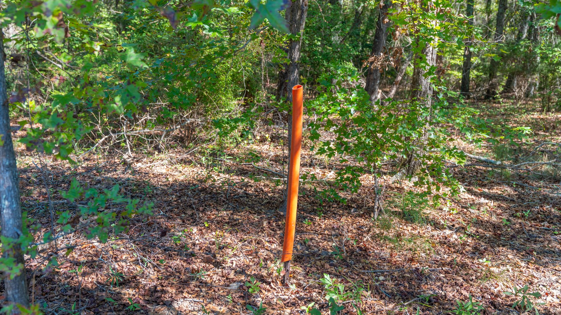 Image for Simpson 154 Land Auction - 154+/- Total Acres - 3 Tracts - Planted Pines & Premium Hunting - Offered Divided & As A Whole