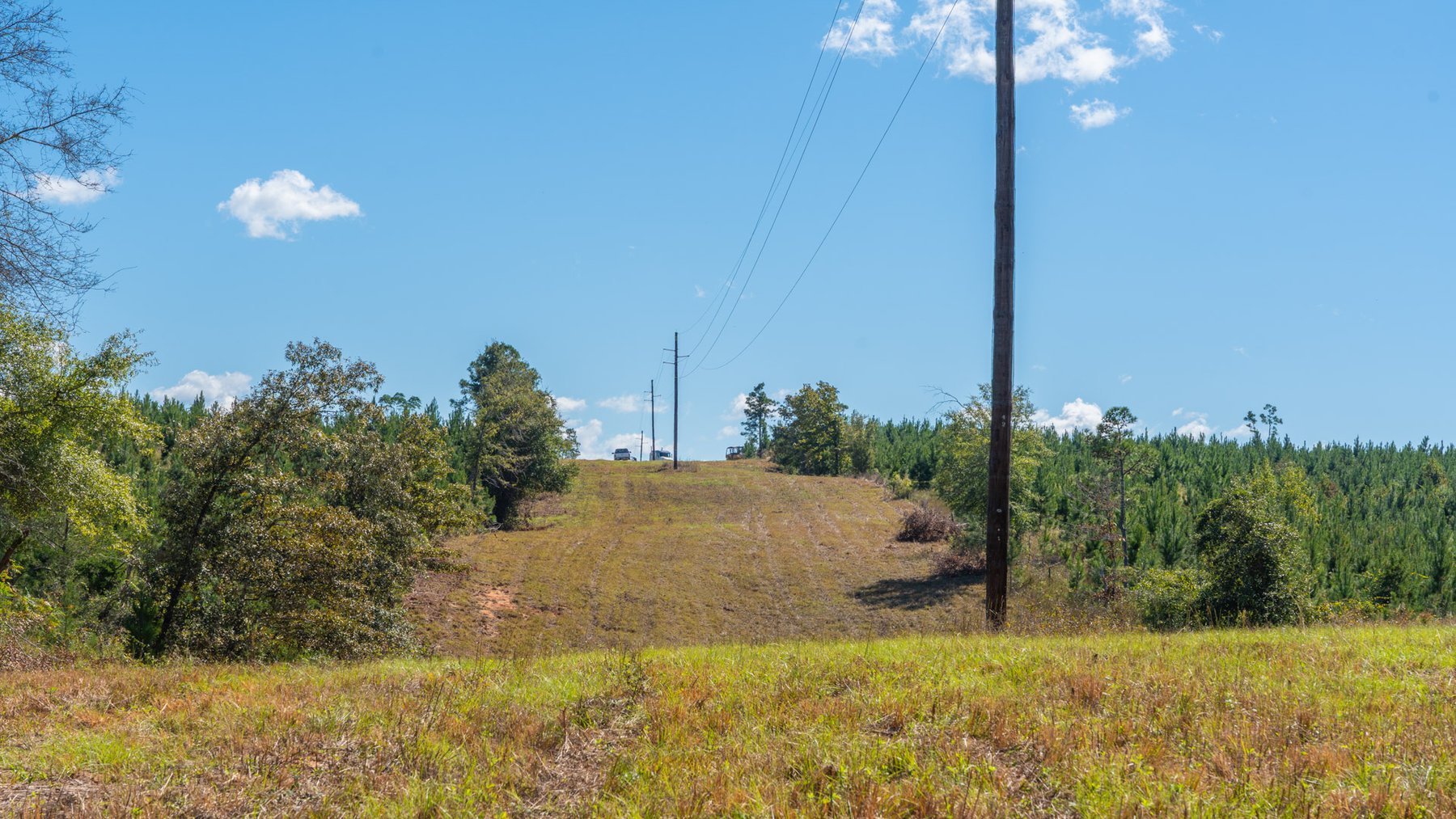 Image for Simpson 154 Land Auction - 154+/- Total Acres - 3 Tracts - Planted Pines & Premium Hunting - Offered Divided & As A Whole