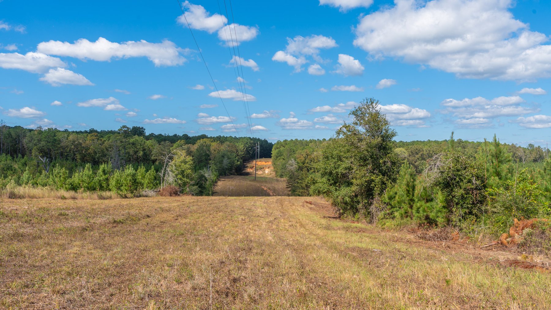 Image for Simpson 154 Land Auction - 154+/- Total Acres - 3 Tracts - Planted Pines & Premium Hunting - Offered Divided & As A Whole