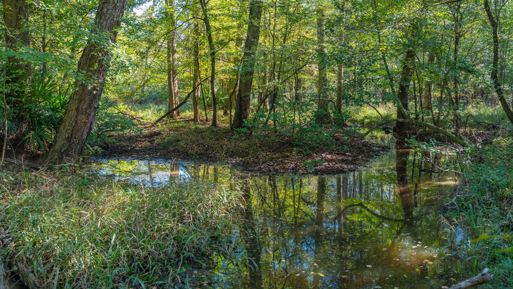 Image for Spann 150 Land Auction - 150+/- Acres - 4 Tracts - Sportsman's Paradise - Choctahatchee Creek Frontage - Offered Divided & As A Whole