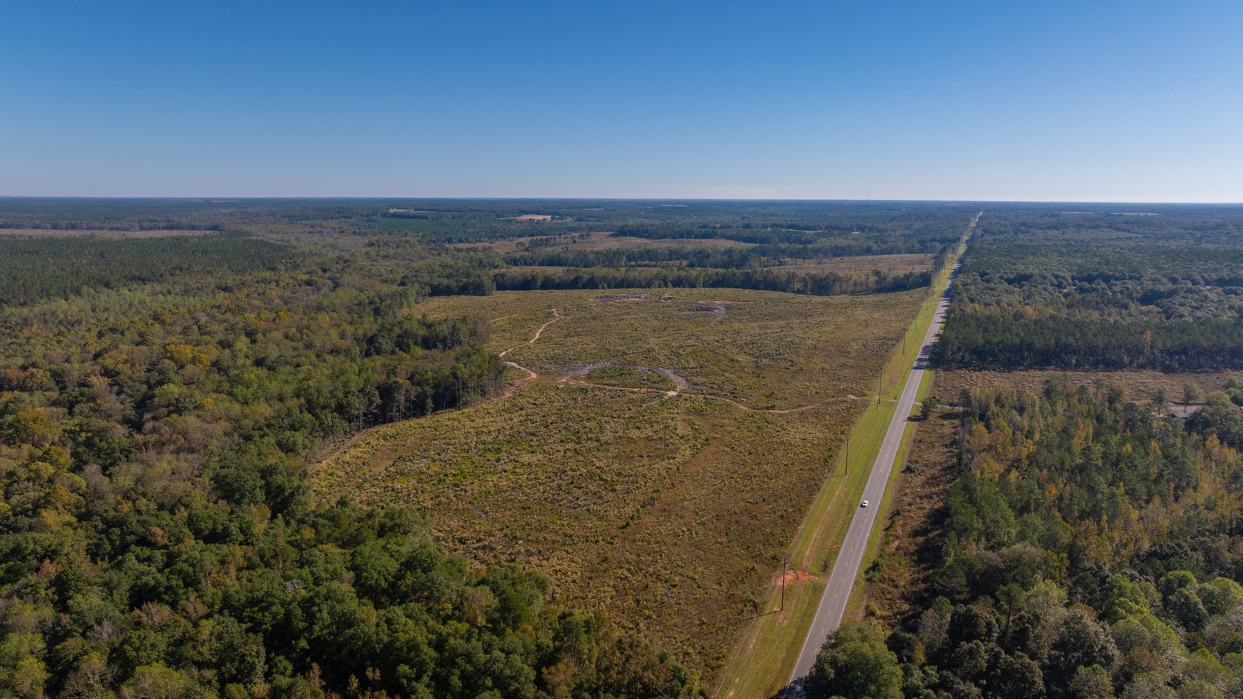 Image for Spann 150 Land Auction - 150+/- Acres - 4 Tracts - Sportsman's Paradise - Choctahatchee Creek Frontage - Offered Divided & As A Whole