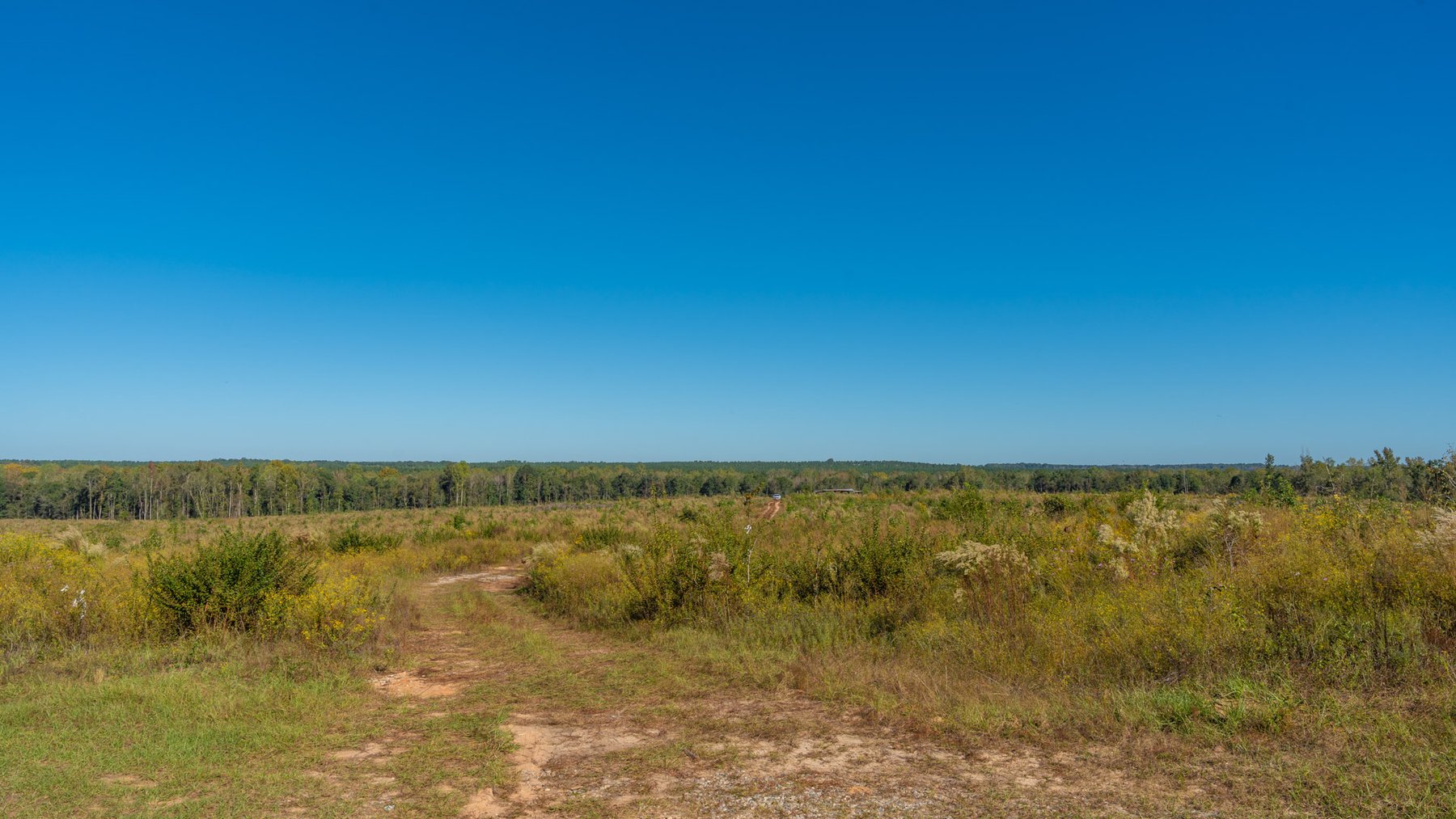 Image for Spann 150 Land Auction - 150+/- Acres - 4 Tracts - Sportsman's Paradise - Choctahatchee Creek Frontage - Offered Divided & As A Whole