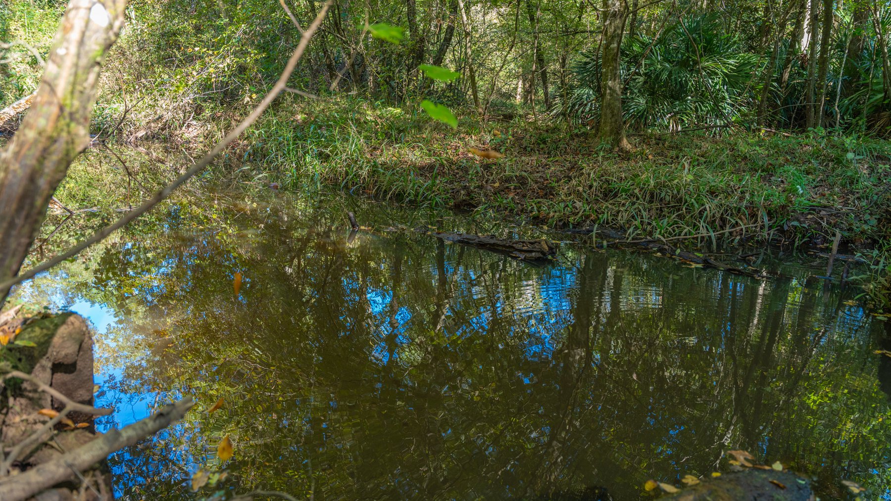 Image for Spann 150 Land Auction - 150+/- Acres - 4 Tracts - Sportsman's Paradise - Choctahatchee Creek Frontage - Offered Divided & As A Whole