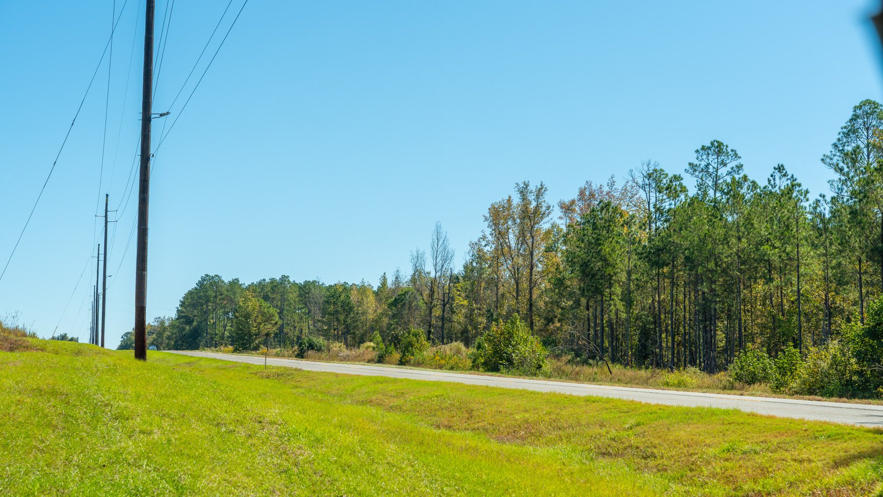 Image for Spann 150 Land Auction - 150+/- Acres - 4 Tracts - Sportsman's Paradise - Choctahatchee Creek Frontage - Offered Divided & As A Whole
