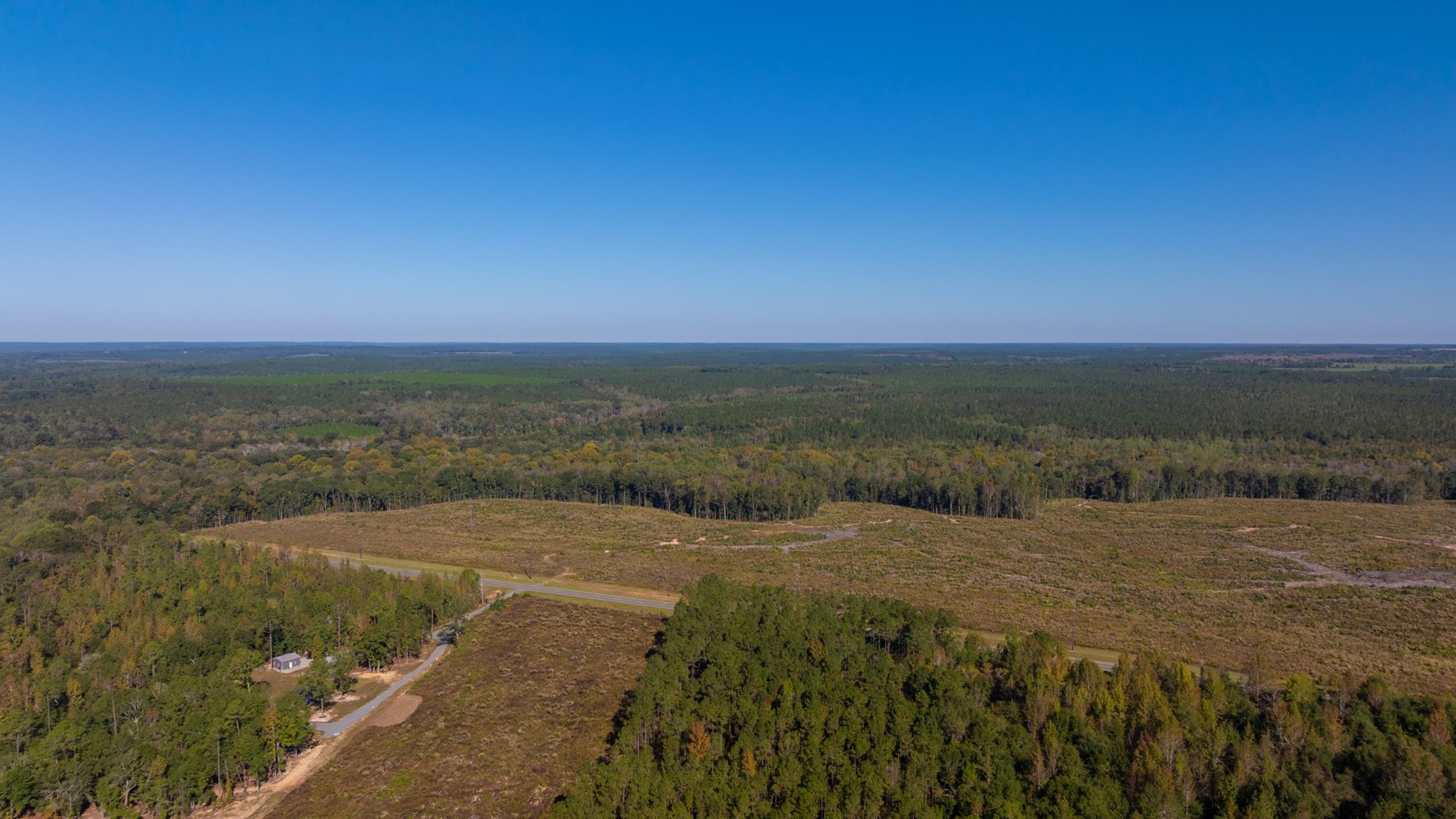 Image for Spann 150 Land Auction - 150+/- Acres - 4 Tracts - Sportsman's Paradise - Choctahatchee Creek Frontage - Offered Divided & As A Whole