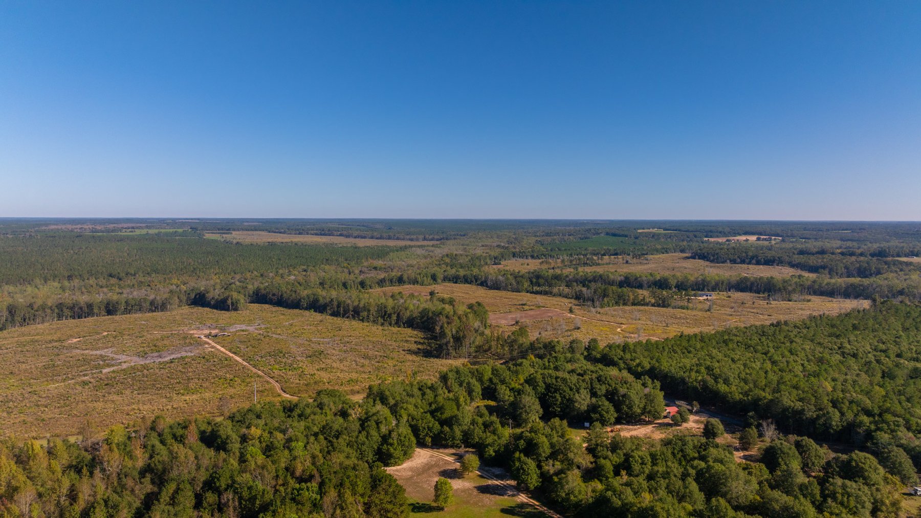 Image for Spann 150 Land Auction - 150+/- Acres - 4 Tracts - Sportsman's Paradise - Choctahatchee Creek Frontage - Offered Divided & As A Whole