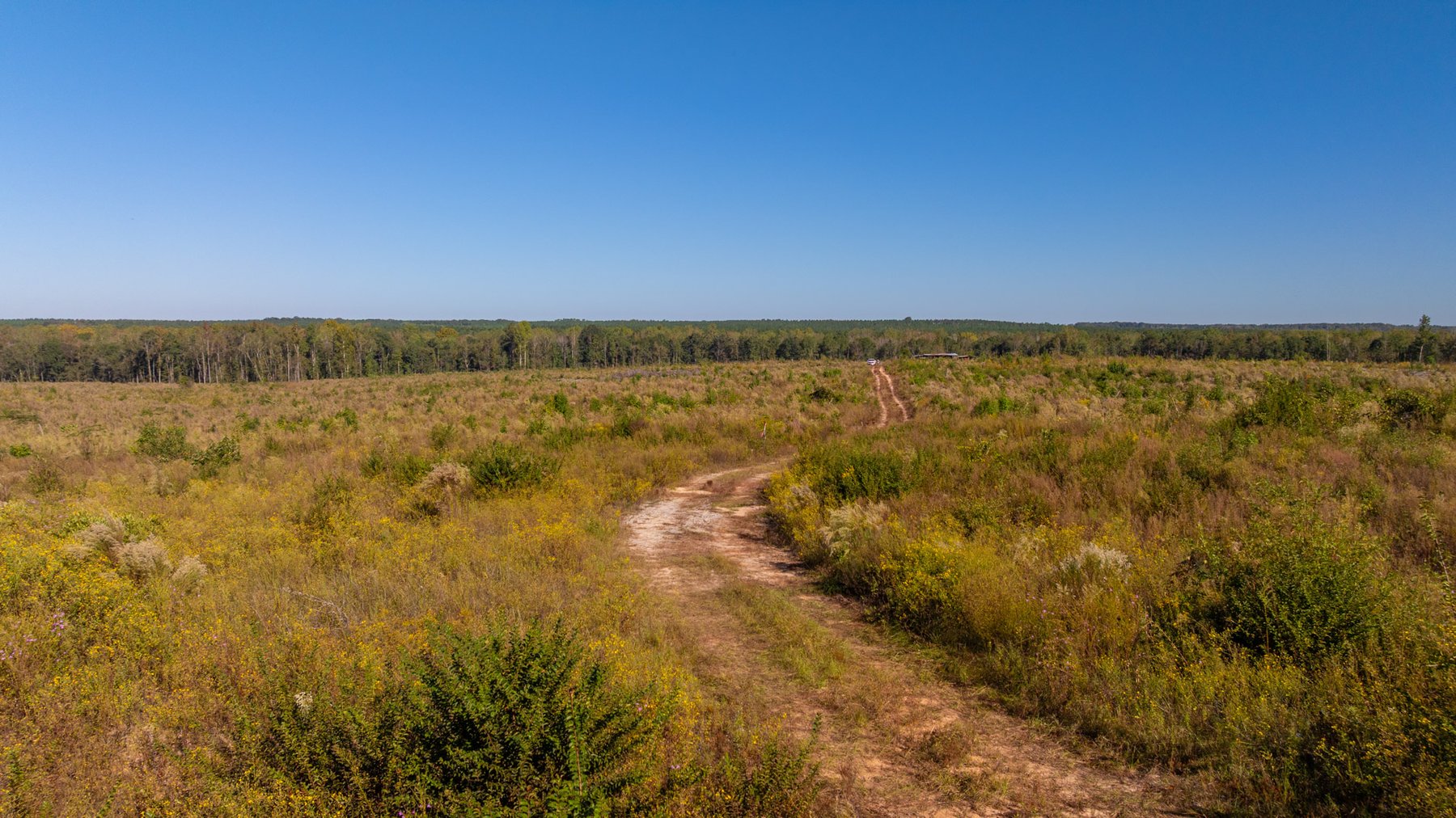 Image for Spann 150 Land Auction - 150+/- Acres - 4 Tracts - Sportsman's Paradise - Choctahatchee Creek Frontage - Offered Divided & As A Whole