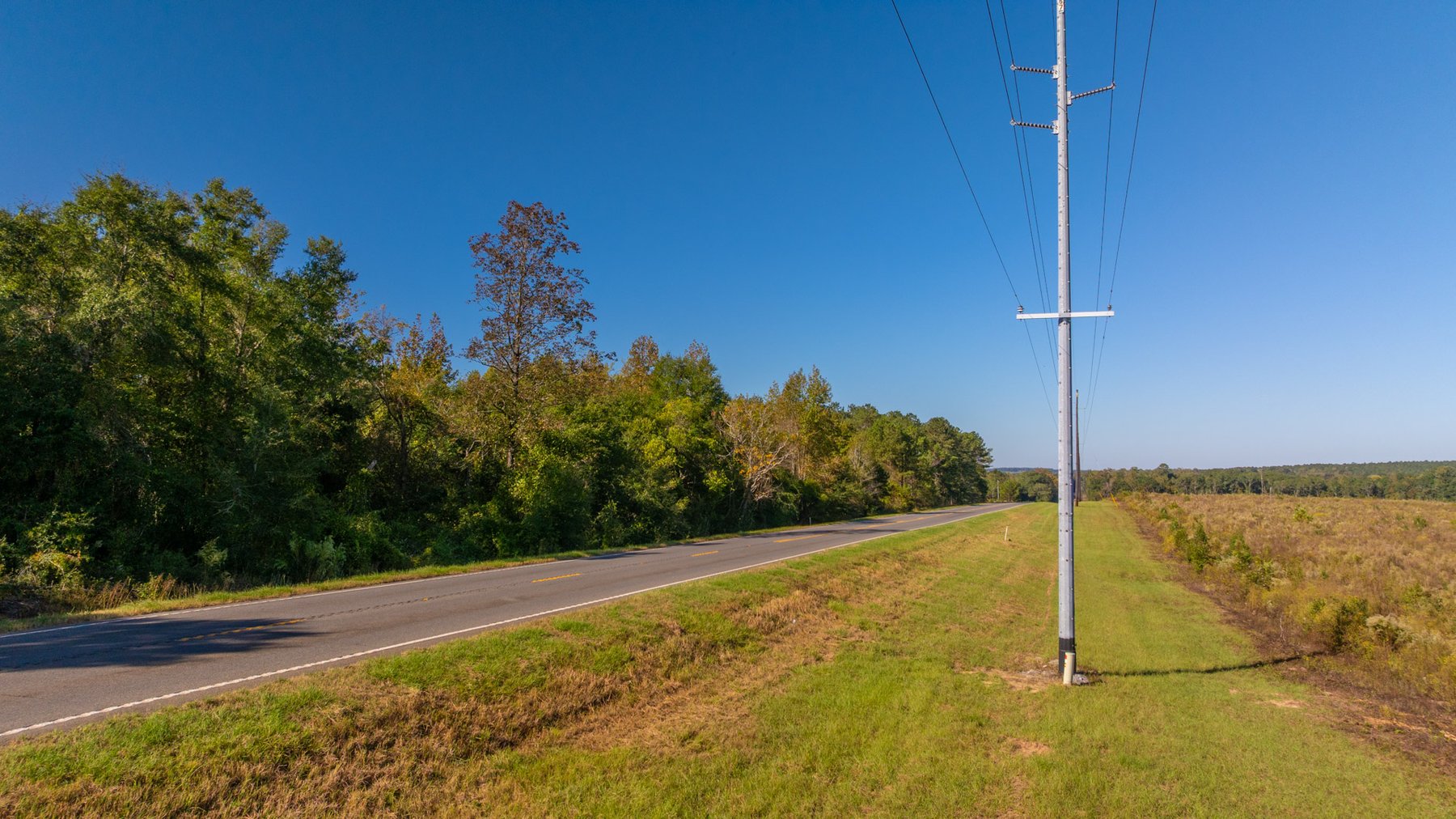 Image for Spann 150 Land Auction - 150+/- Acres - 4 Tracts - Sportsman's Paradise - Choctahatchee Creek Frontage - Offered Divided & As A Whole