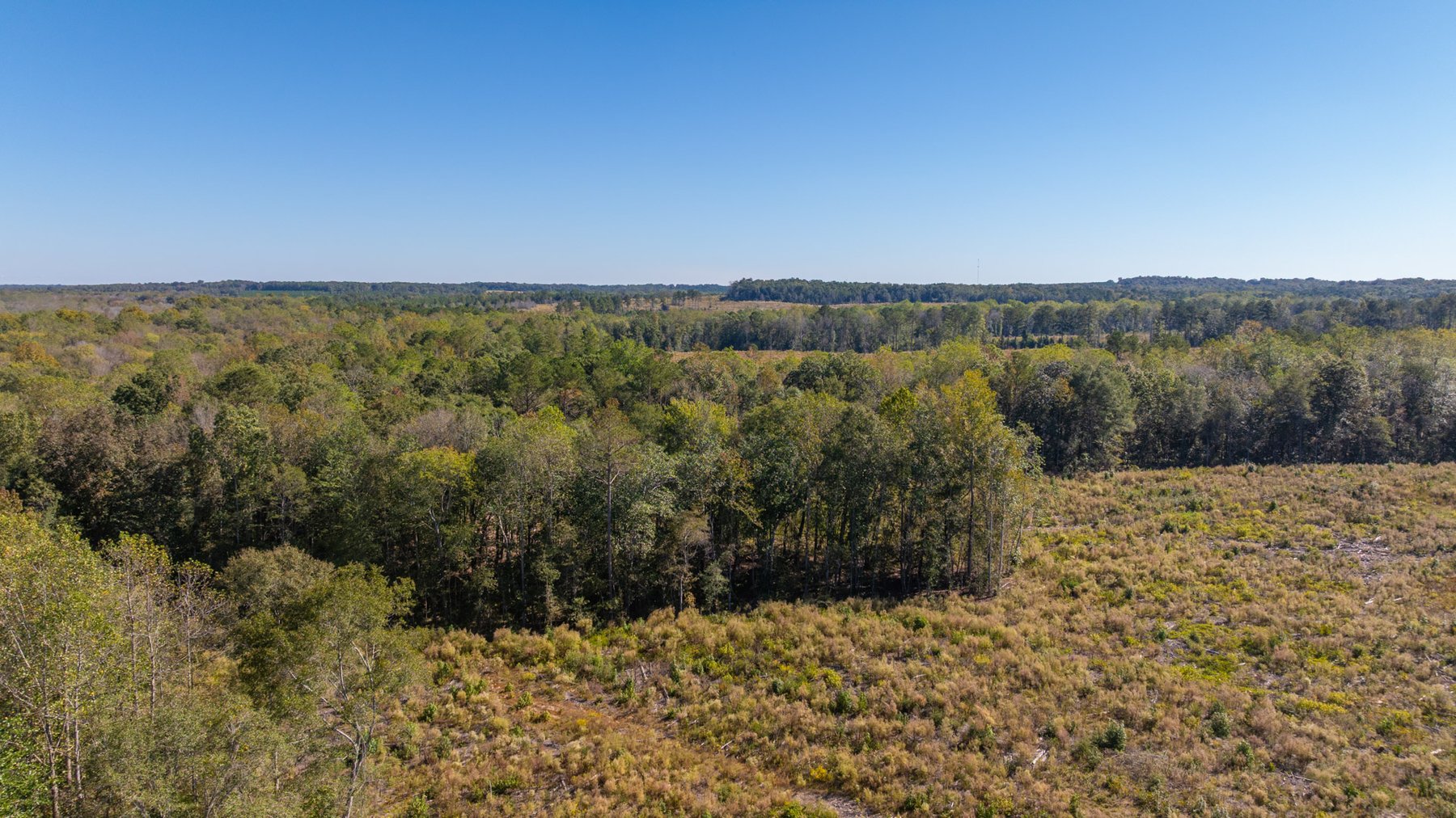 Image for Spann 150 Land Auction - 150+/- Acres - 4 Tracts - Sportsman's Paradise - Choctahatchee Creek Frontage - Offered Divided & As A Whole