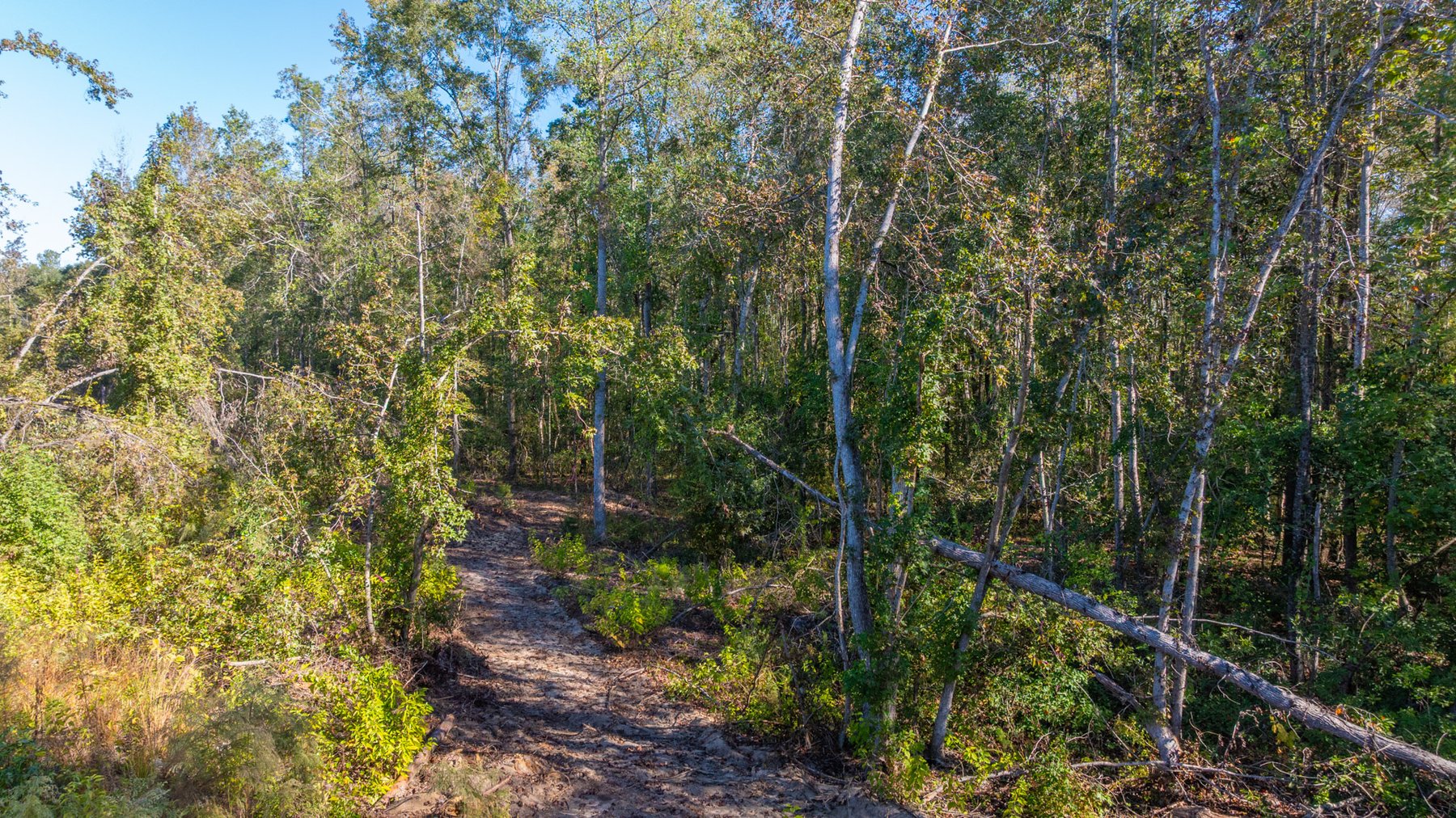 Image for Spann 150 Land Auction - 150+/- Acres - 4 Tracts - Sportsman's Paradise - Choctahatchee Creek Frontage - Offered Divided & As A Whole