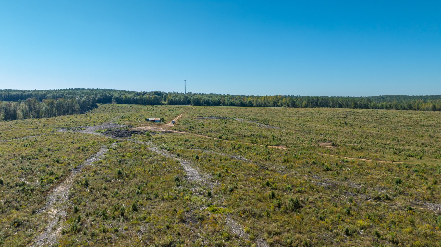Image for Spann 150 Land Auction - 150+/- Acres - 4 Tracts - Sportsman's Paradise - Choctahatchee Creek Frontage - Offered Divided & As A Whole