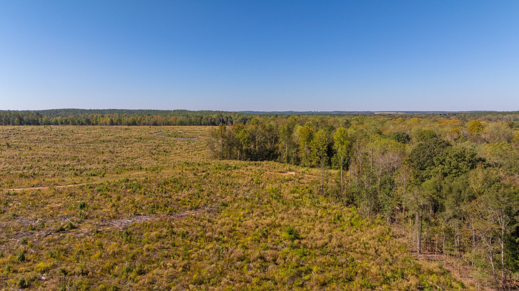 Image for Spann 150 Land Auction - 150+/- Acres - 4 Tracts - Sportsman's Paradise - Choctahatchee Creek Frontage - Offered Divided & As A Whole