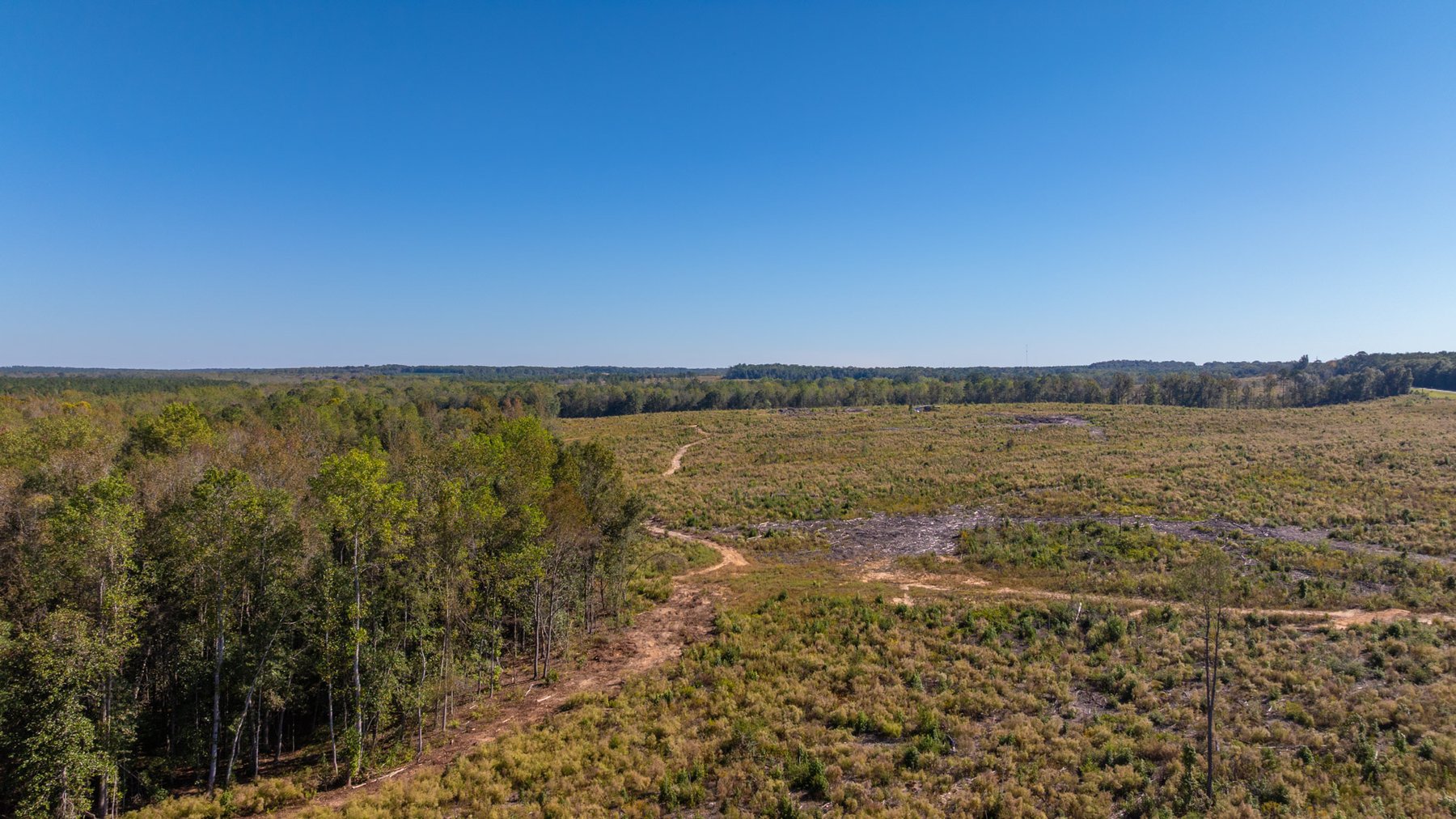 Image for Spann 150 Land Auction - 150+/- Acres - 4 Tracts - Sportsman's Paradise - Choctahatchee Creek Frontage - Offered Divided & As A Whole