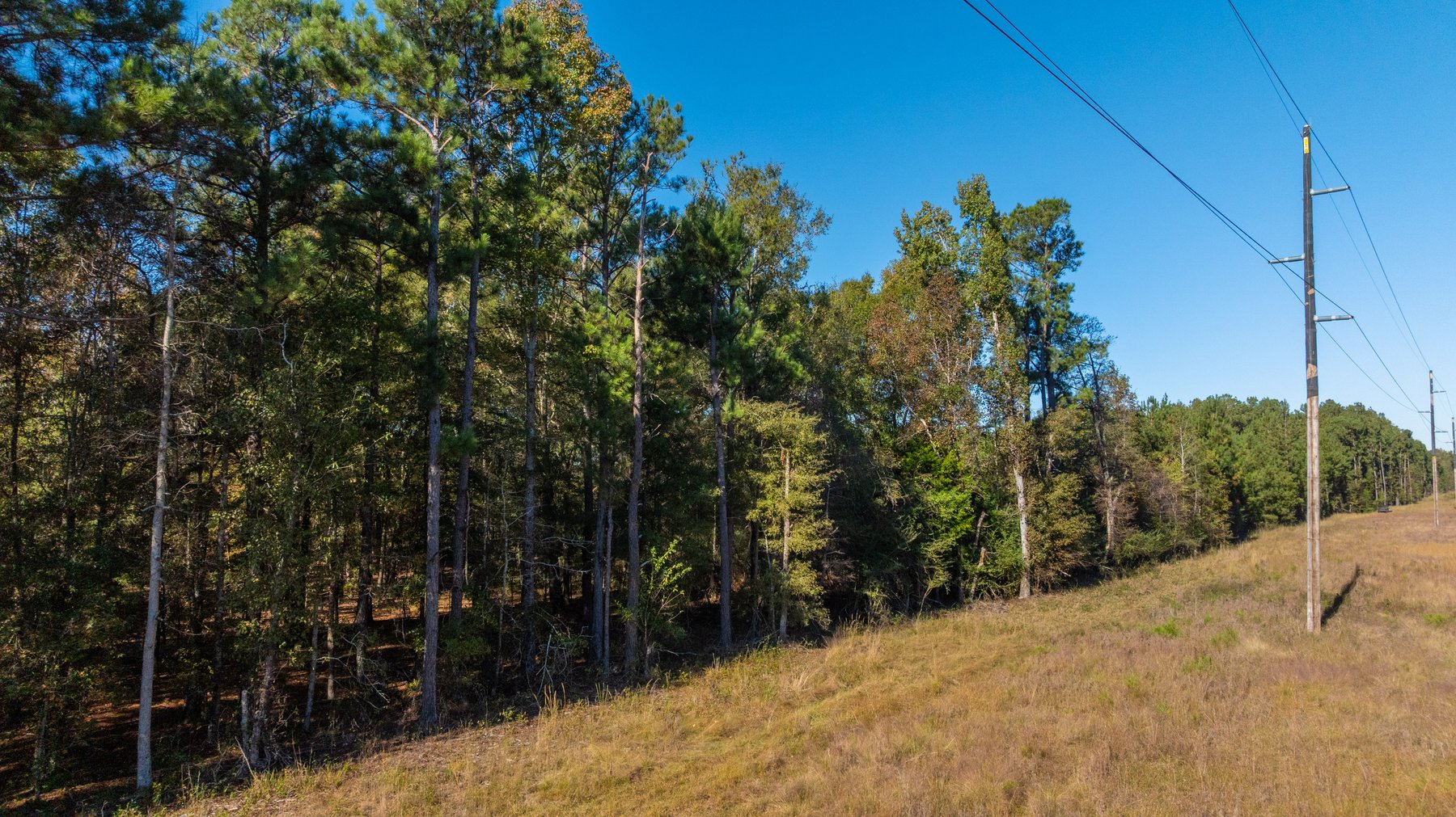 Image for 300+/- Total Acres - The Smithville Farm - Sportsman's Paradise W/ Row Crop Farmland