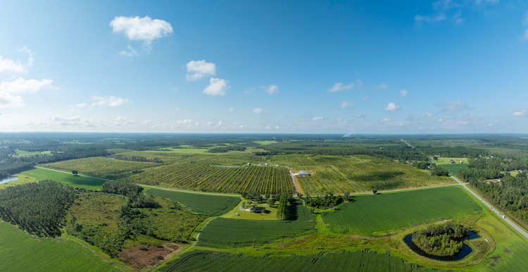 Image for 323± Acres - O’Brien Orchard - Prime Location with Future Growth Potential - Homesites & Investment Appeal - Irrigated Orchard & Cleaning Facility