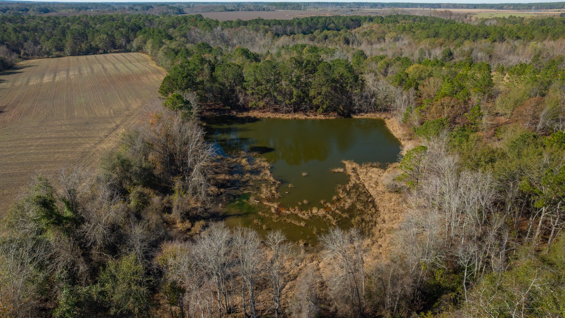 Image for Swallow Lane Farm - 157± Acres - Irwin County, Georgia - Income-Producing Row Crop Farmland & Recreational Retreat