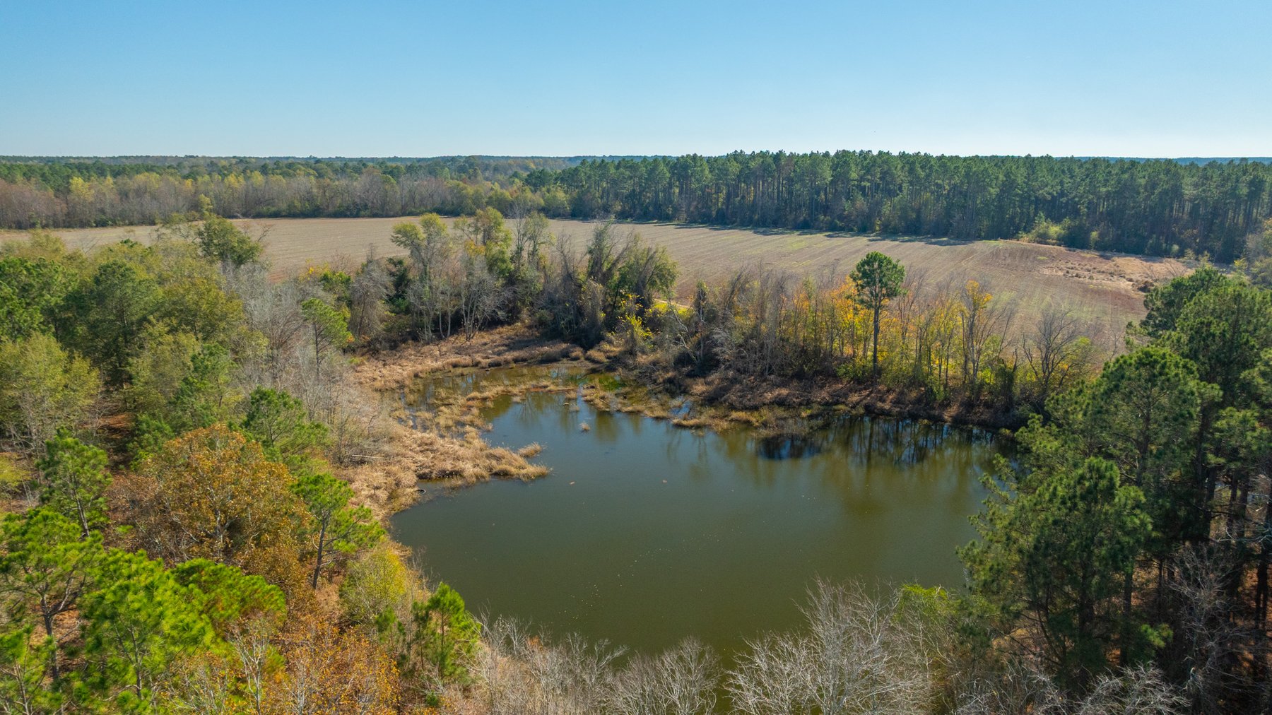 Image for Swallow Lane Farm - 157± Acres - Irwin County, Georgia - Income-Producing Row Crop Farmland & Recreational Retreat