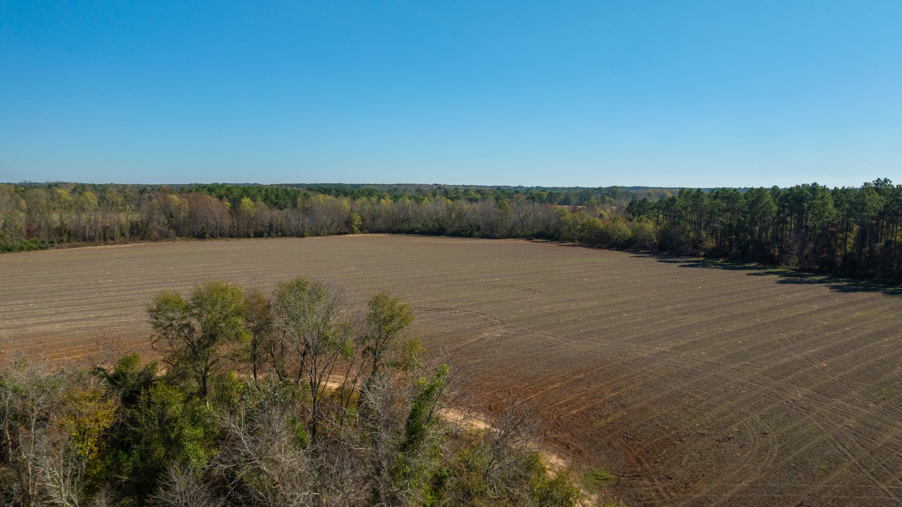 Image for Swallow Lane Farm - 157± Acres - Irwin County, Georgia - Income-Producing Row Crop Farmland & Recreational Retreat
