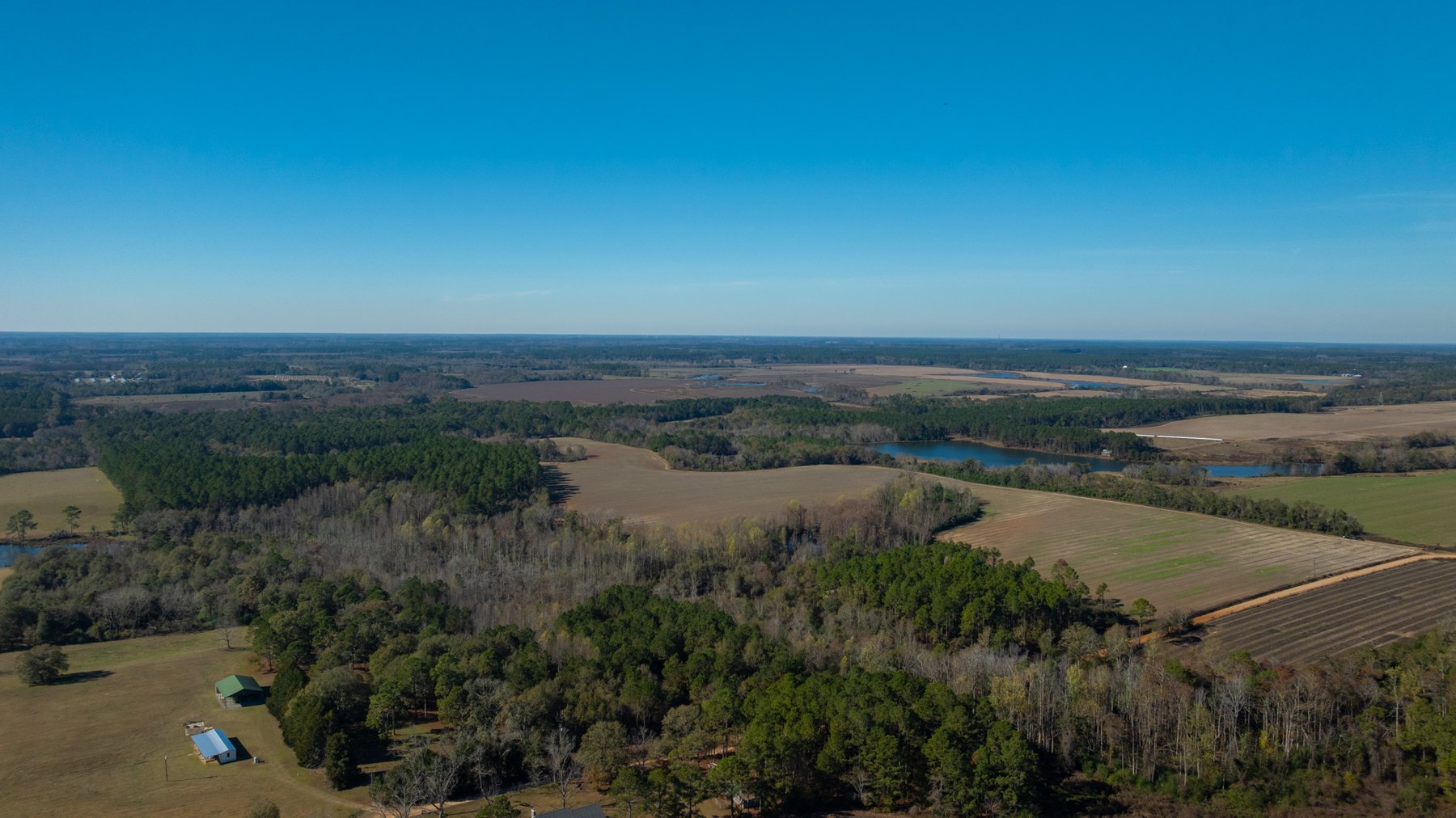 Image for Swallow Lane Farm - 157± Acres - Irwin County, Georgia - Income-Producing Row Crop Farmland & Recreational Retreat