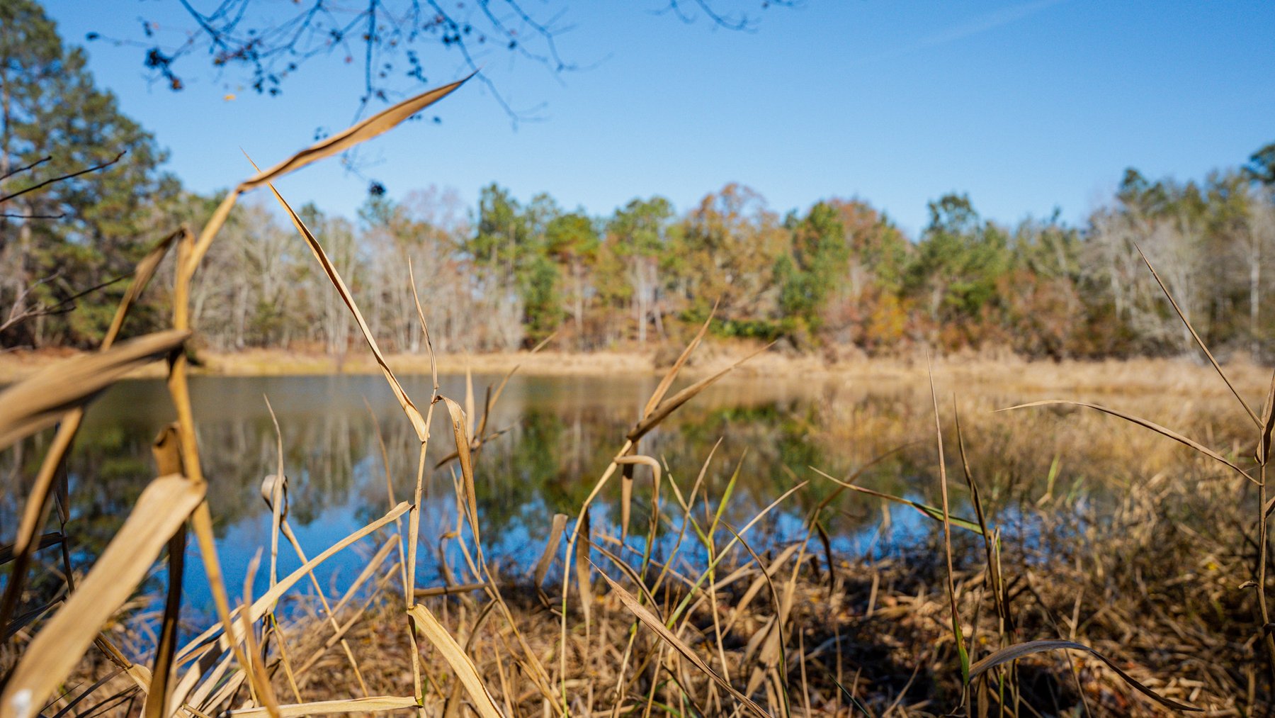Image for Swallow Lane Farm - 157± Acres - Irwin County, Georgia - Income-Producing Row Crop Farmland & Recreational Retreat