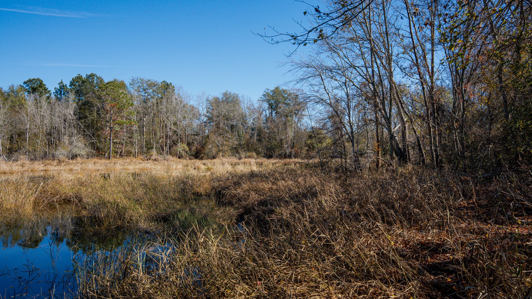 Image for Swallow Lane Farm - 157± Acres - Irwin County, Georgia - Income-Producing Row Crop Farmland & Recreational Retreat