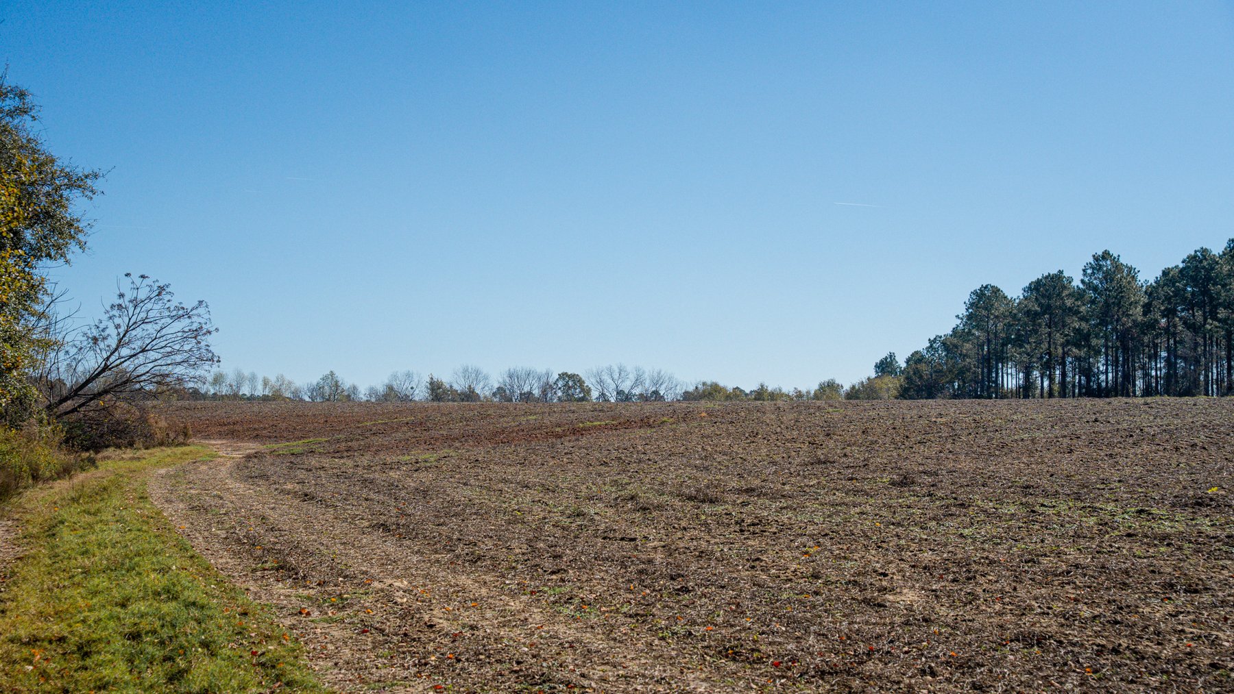 Image for Swallow Lane Farm - 157± Acres - Irwin County, Georgia - Income-Producing Row Crop Farmland & Recreational Retreat