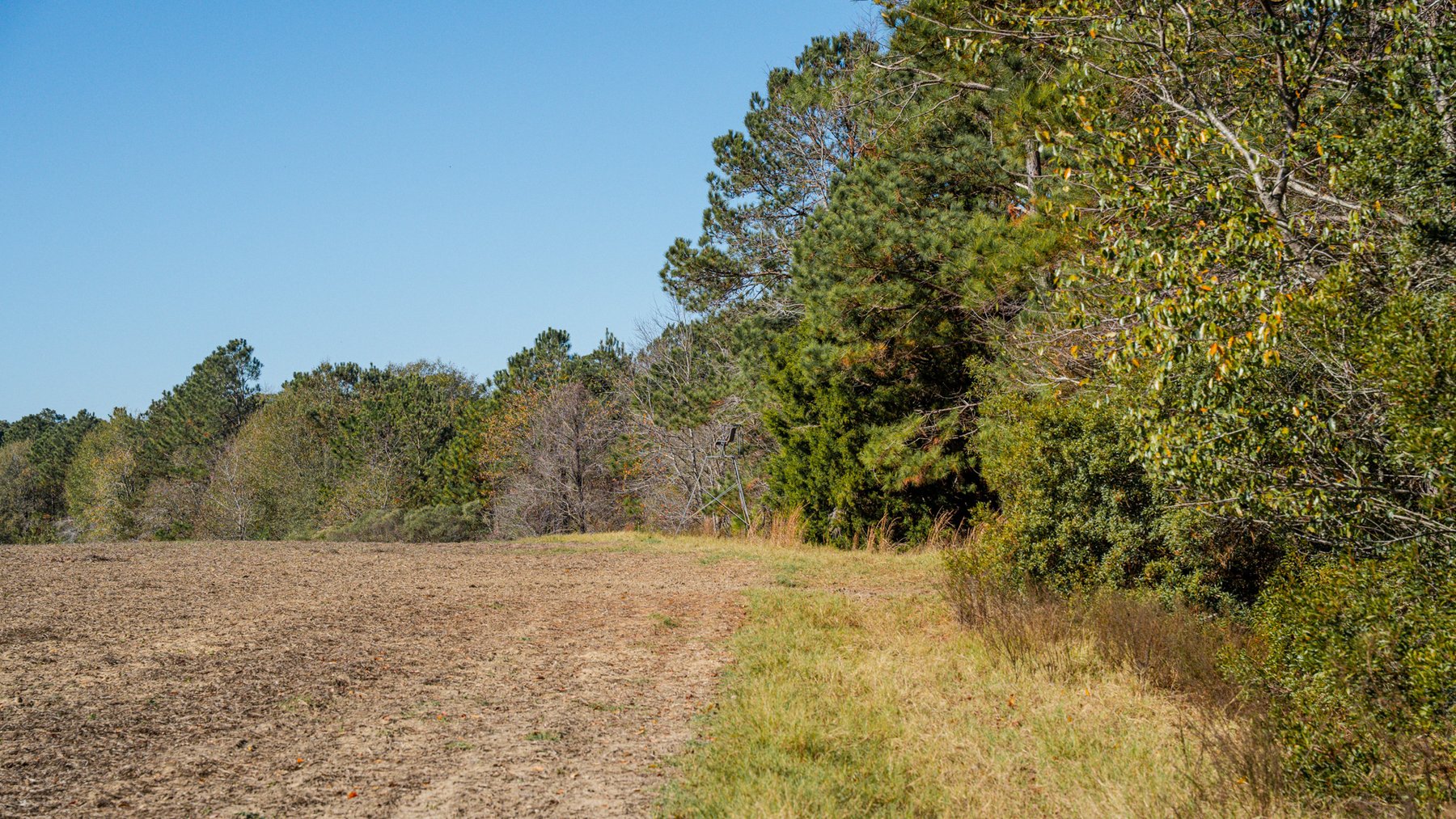 Image for Swallow Lane Farm - 157± Acres - Irwin County, Georgia - Income-Producing Row Crop Farmland & Recreational Retreat