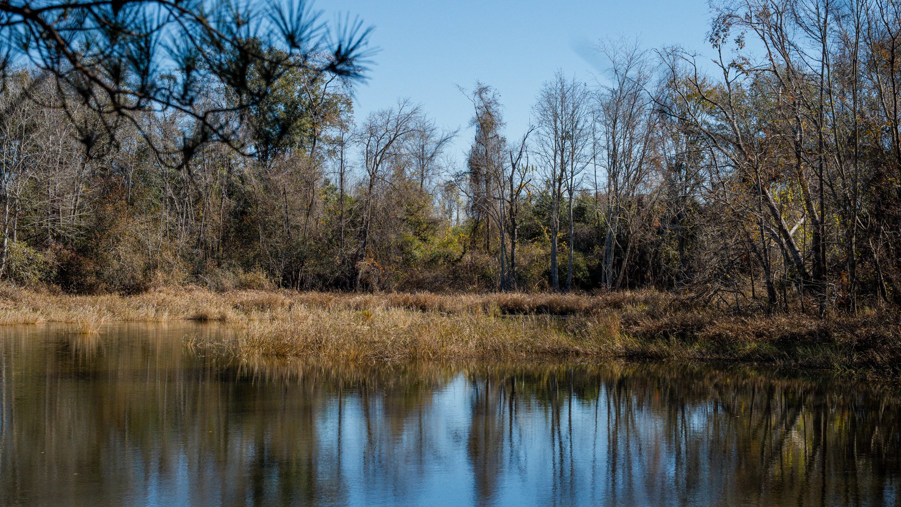 Image for Swallow Lane Farm - 157± Acres - Irwin County, Georgia - Income-Producing Row Crop Farmland & Recreational Retreat