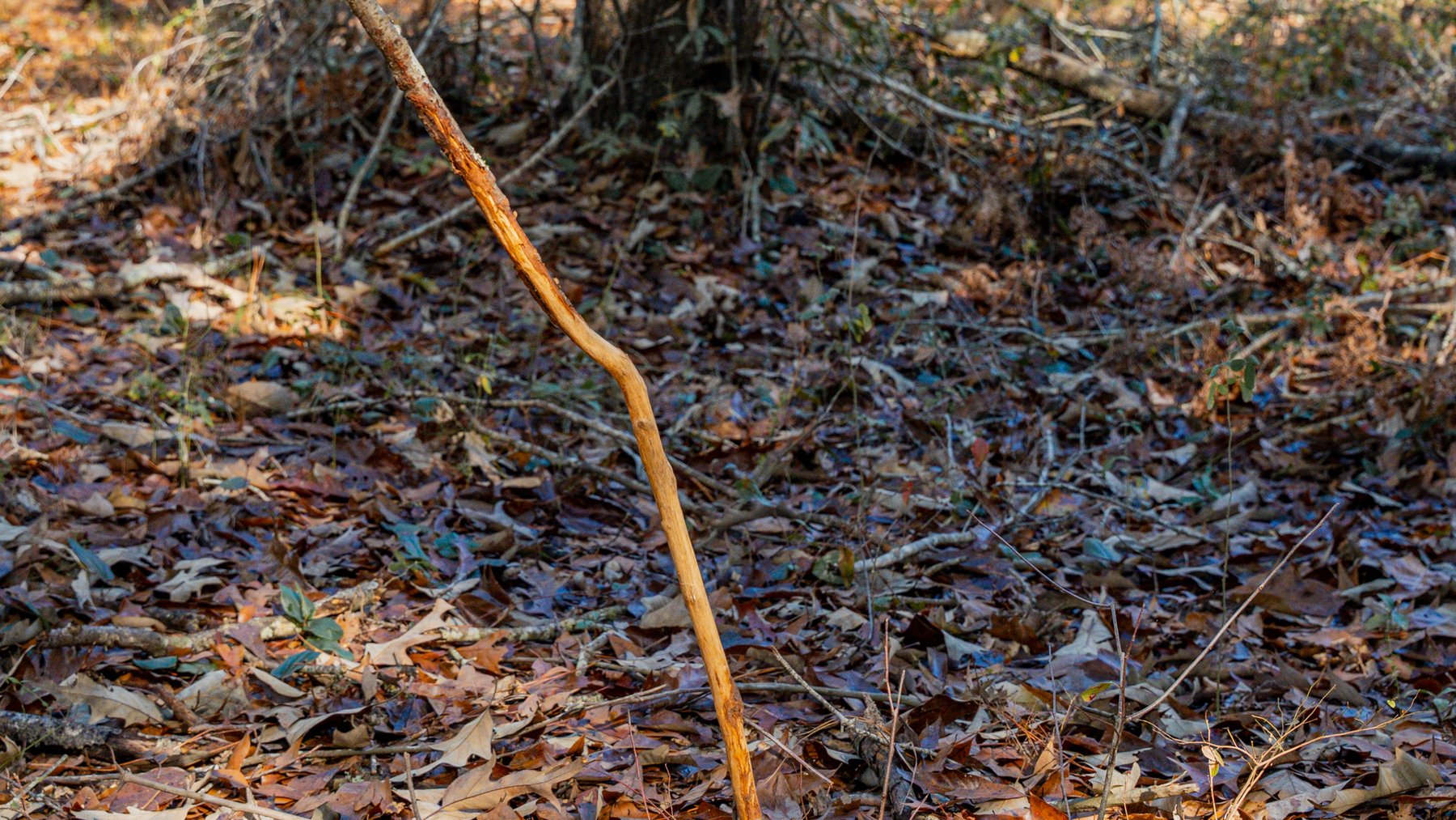 Image for Swallow Lane Farm - 157± Acres - Irwin County, Georgia - Income-Producing Row Crop Farmland & Recreational Retreat
