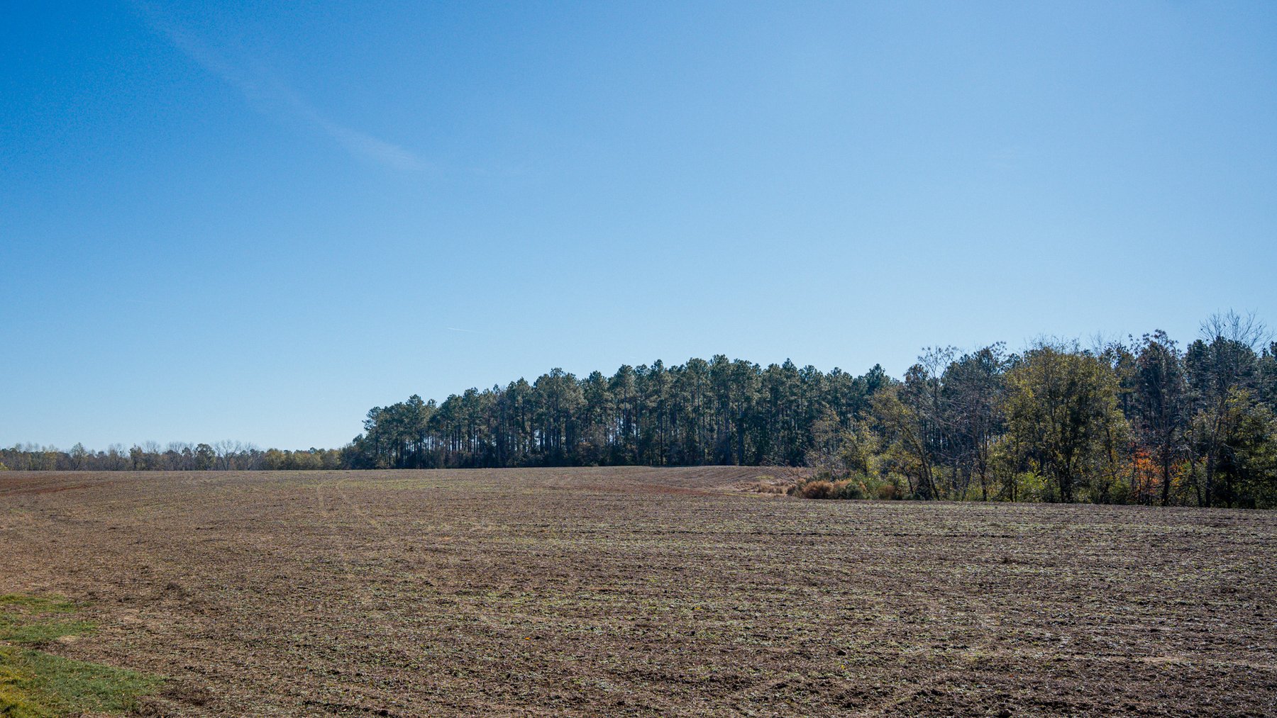 Image for Swallow Lane Farm - 157± Acres - Irwin County, Georgia - Income-Producing Row Crop Farmland & Recreational Retreat
