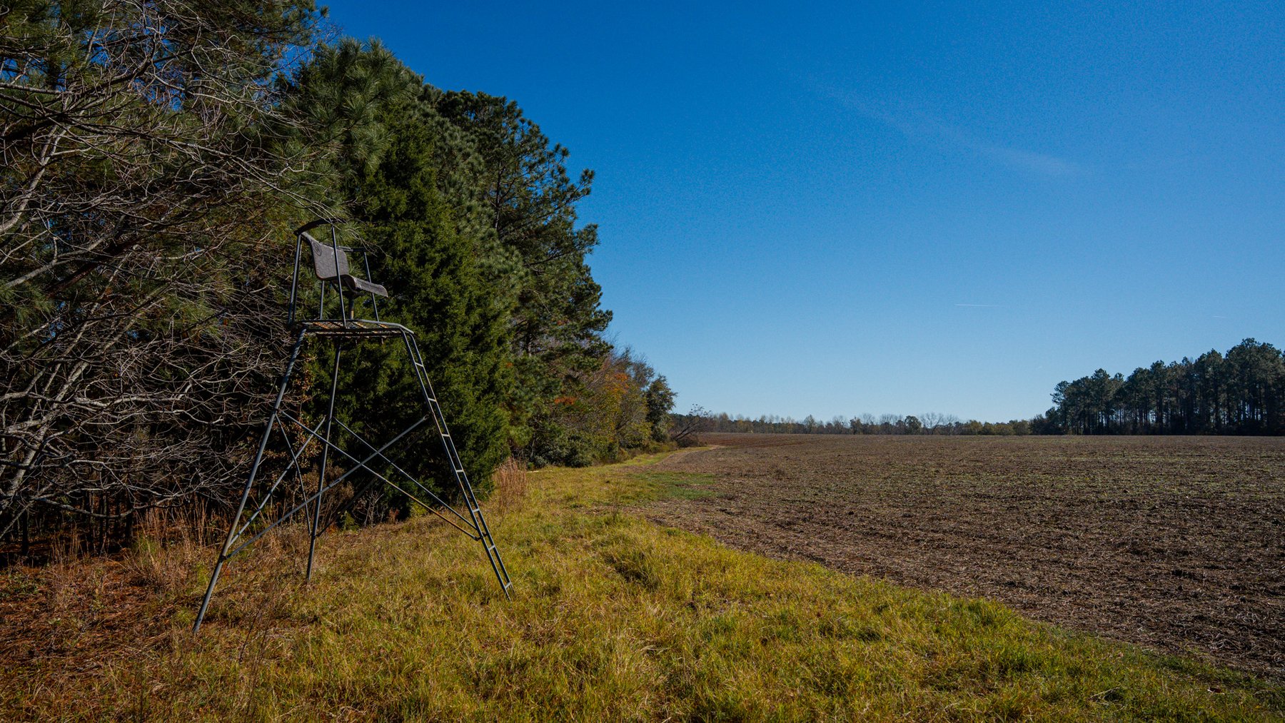 Image for Swallow Lane Farm - 157± Acres - Irwin County, Georgia - Income-Producing Row Crop Farmland & Recreational Retreat