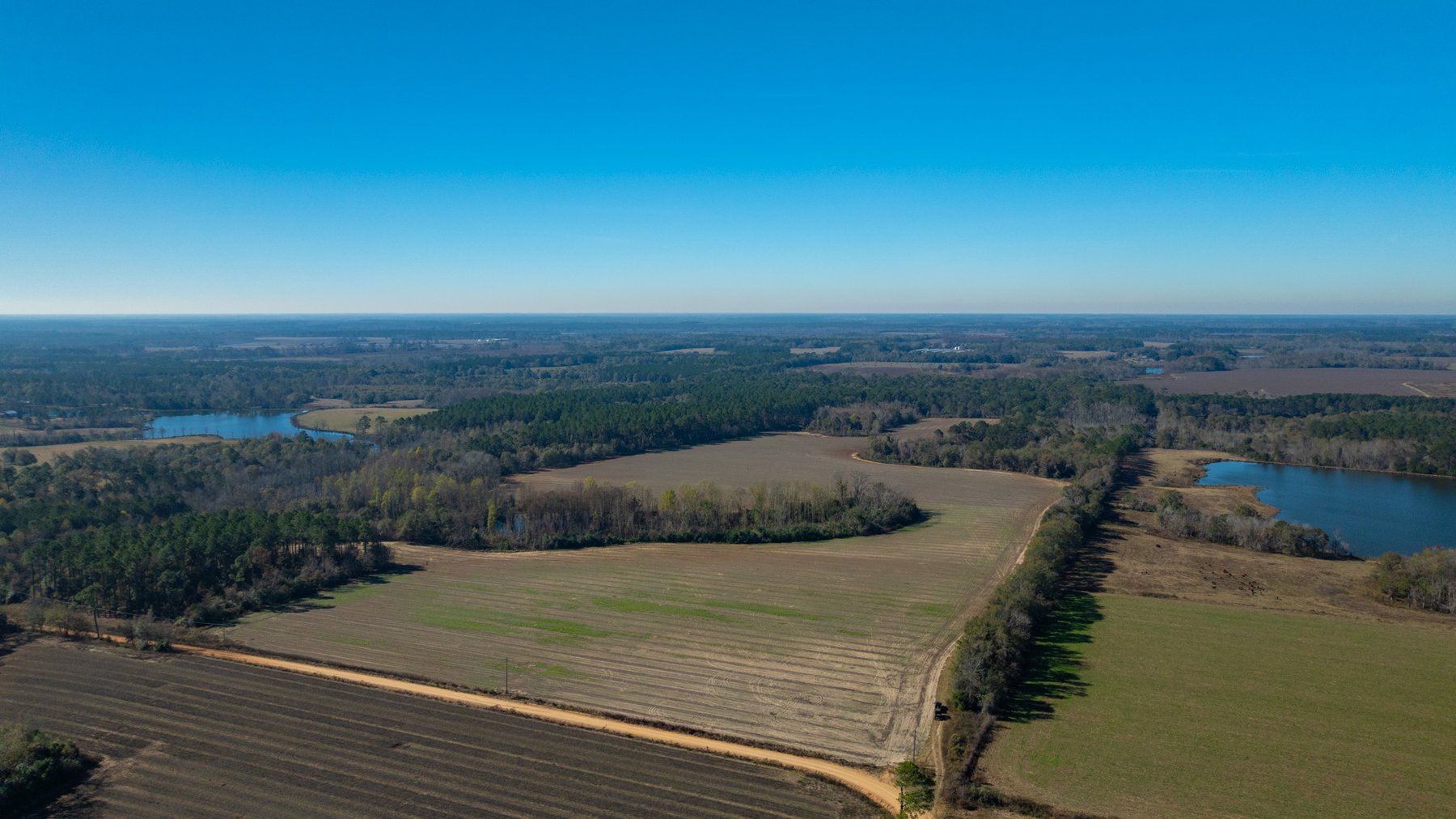 Image for Swallow Lane Farm - 157± Acres - Irwin County, Georgia - Income-Producing Row Crop Farmland & Recreational Retreat