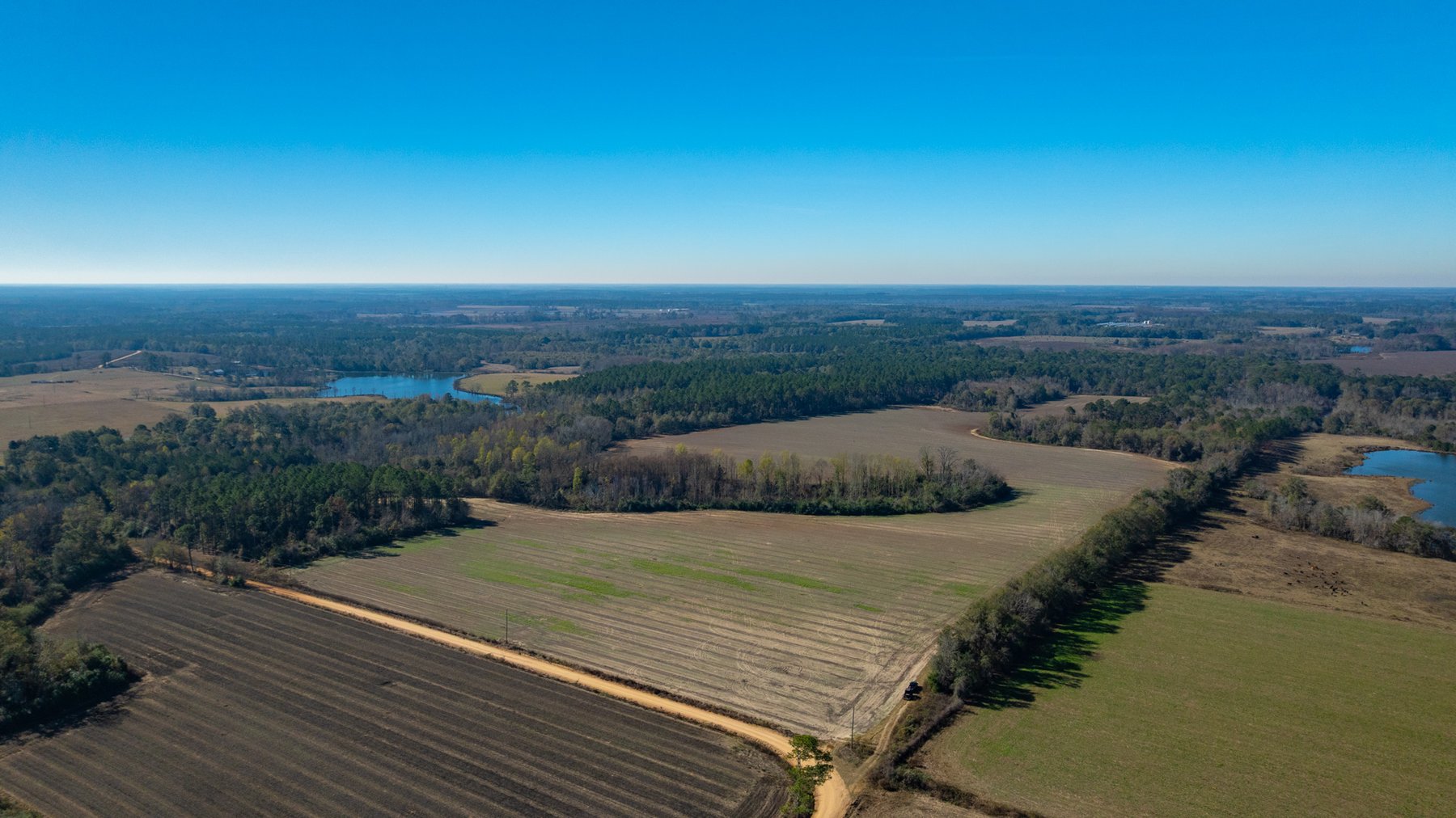 Image for Swallow Lane Farm - 157± Acres - Irwin County, Georgia - Income-Producing Row Crop Farmland & Recreational Retreat