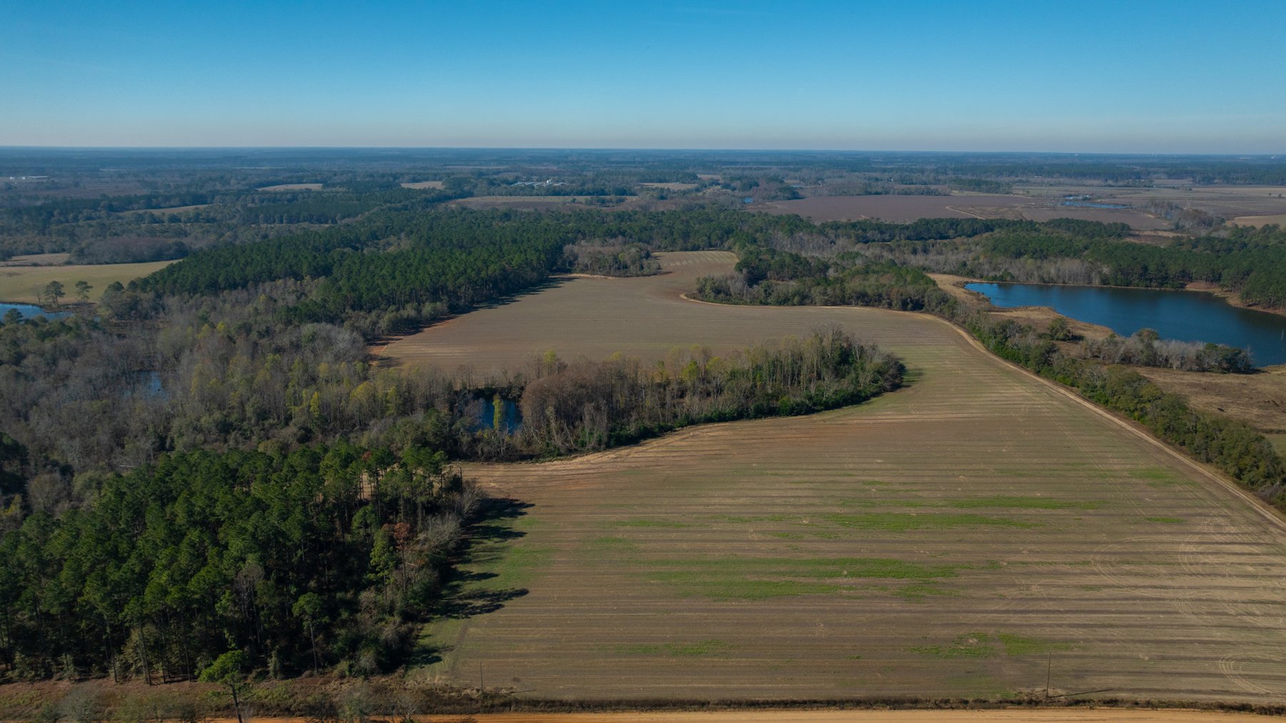 Image for Swallow Lane Farm - 157± Acres - Irwin County, Georgia - Income-Producing Row Crop Farmland & Recreational Retreat